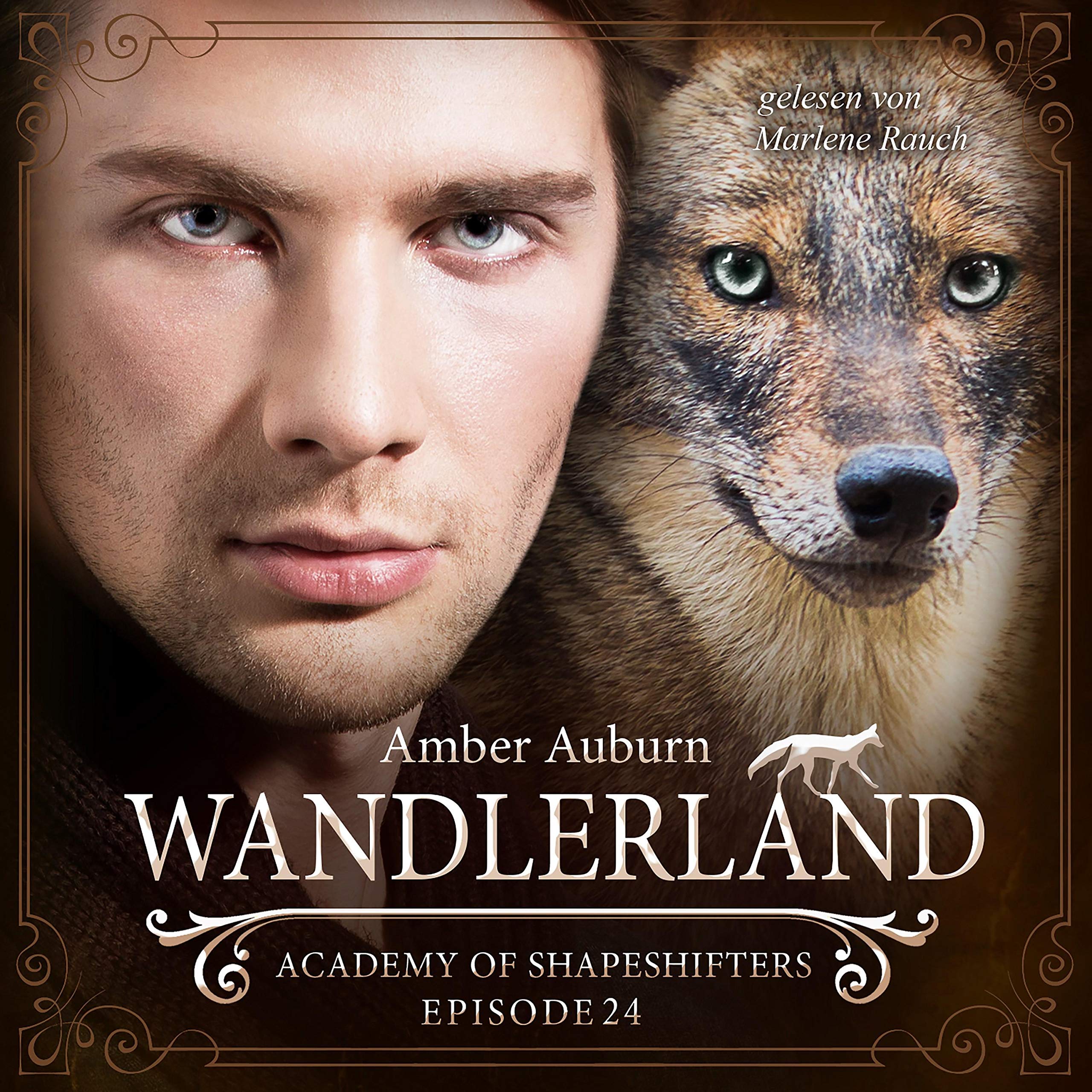 Cover art for Wandlerland