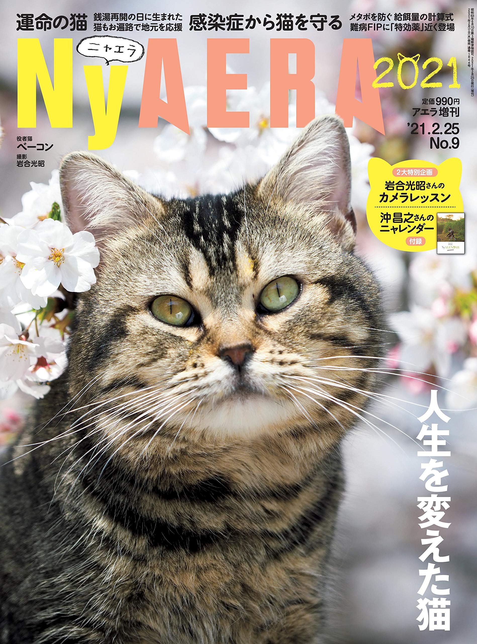 Nyaera ニャエラ 21 Aera増刊 配送料無料