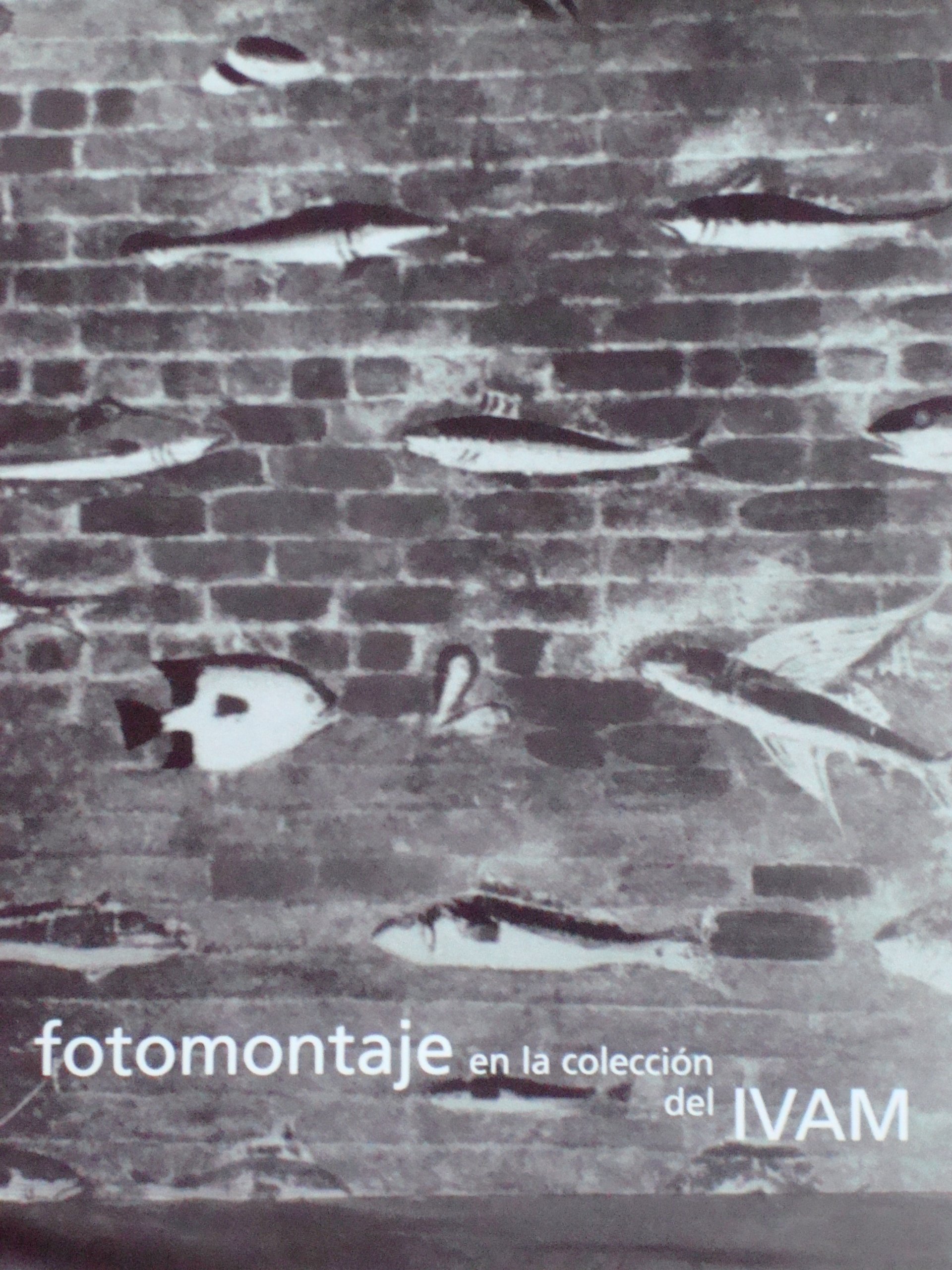 Photomontage Vol 1 beau livre de table pour enrichir votre atelier créatif