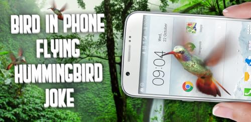 Pássaro no telefone: beija-flor voando piada