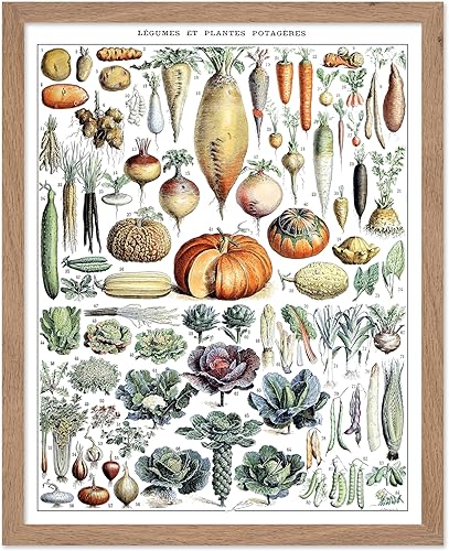 Miniatura 298 de Poster Master Póster vintage de orquídea, estampado de flores retro, arte de pared de plantas exóticas, arte botánico, regalo para hombres y