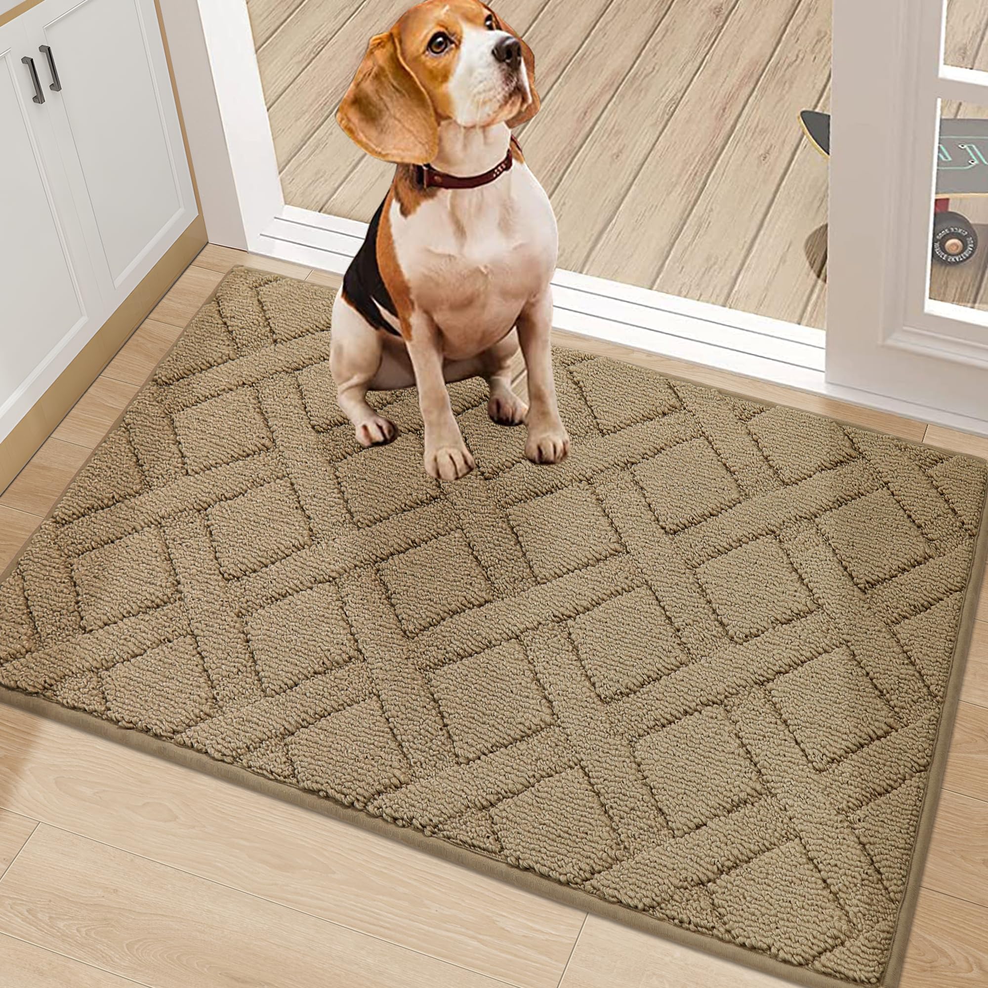 COSY HOMEER Schoonloopmat 60 x 90 cm, dunne deurmat voor binnen