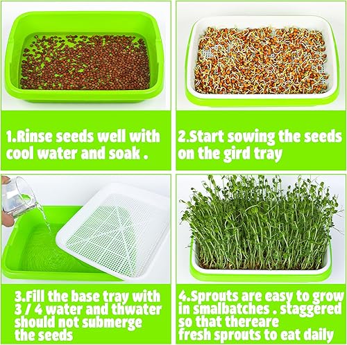 Miniatura 3 de Paquete de 4 bandejas para germinar semillas con tapa, bandeja de germinación de semillas sin tierra, cultivador de hierba de trigo de gran