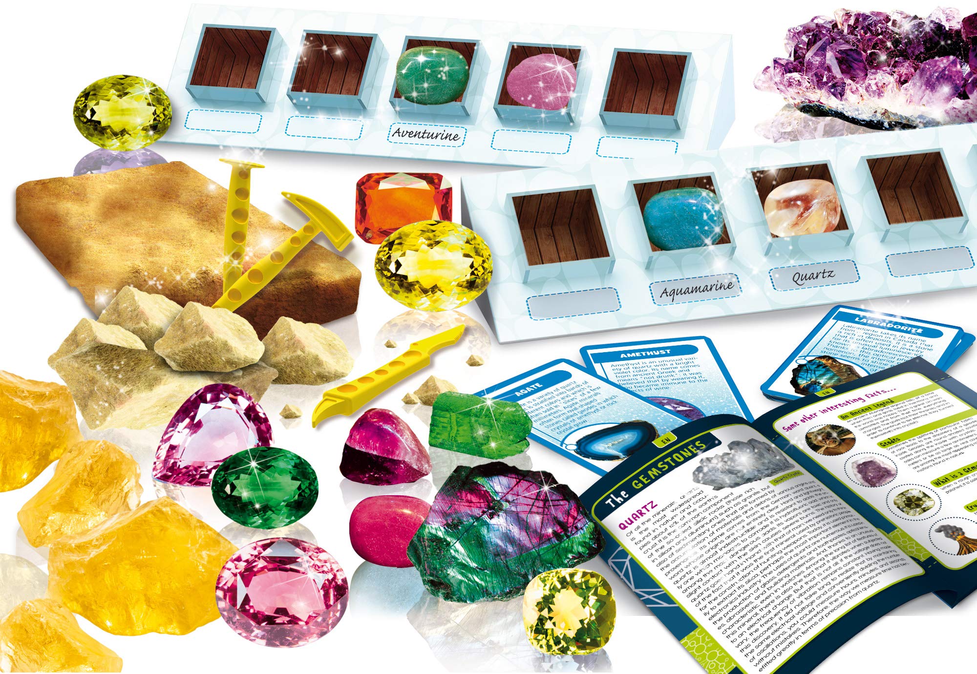 ReBotz - Pitti der Walking-Bot (Experimentierkasten)