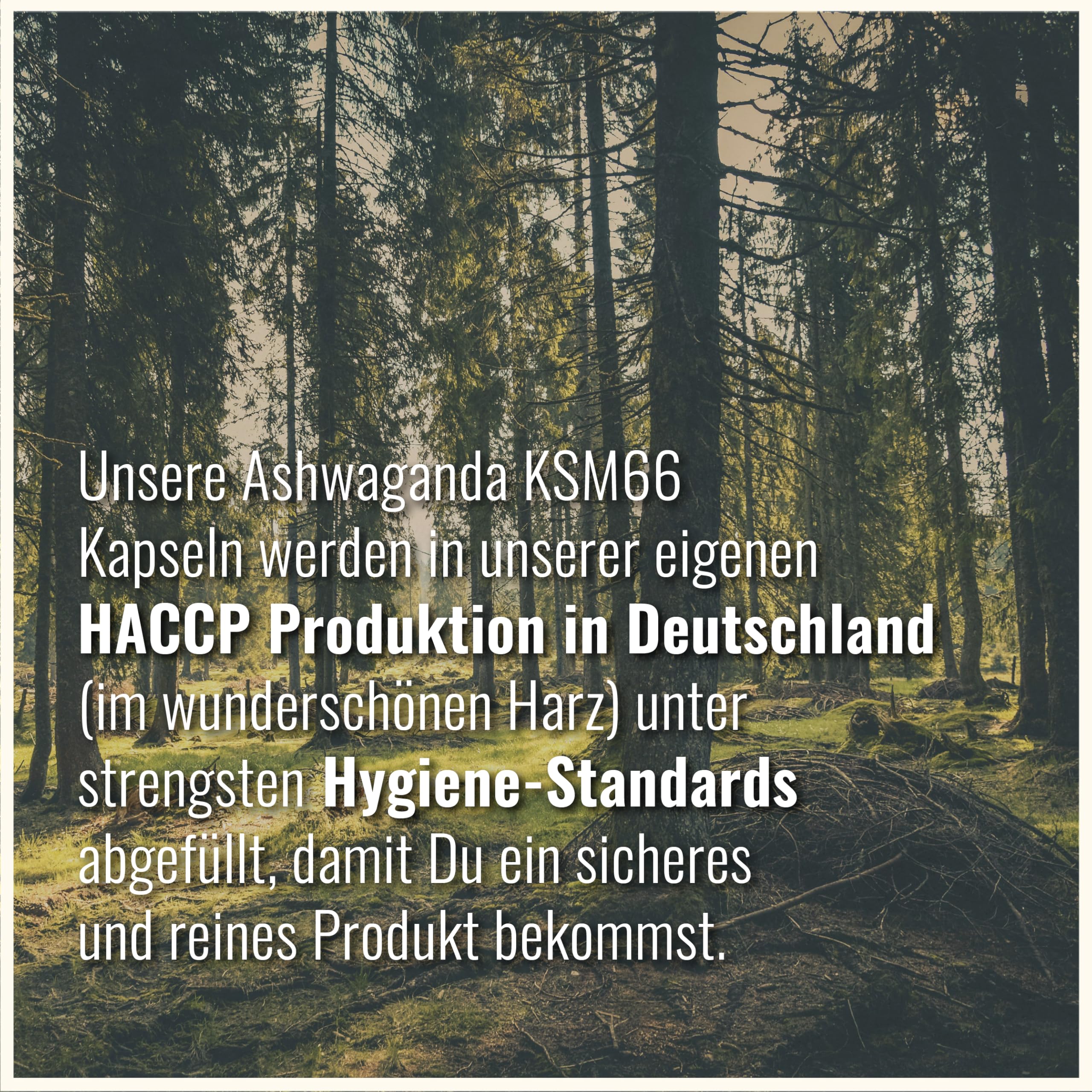 Ashwagandha KSM-66 Kapseln - Ultra Hochdosiert 6000mg pro Kapsel – Reines Extrakt ohne Zusätze – 100 Ashwagandha Kapseln – KSM66 Withanolide