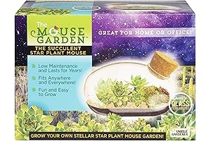 Terrarium Kit with Live Mouse Plant