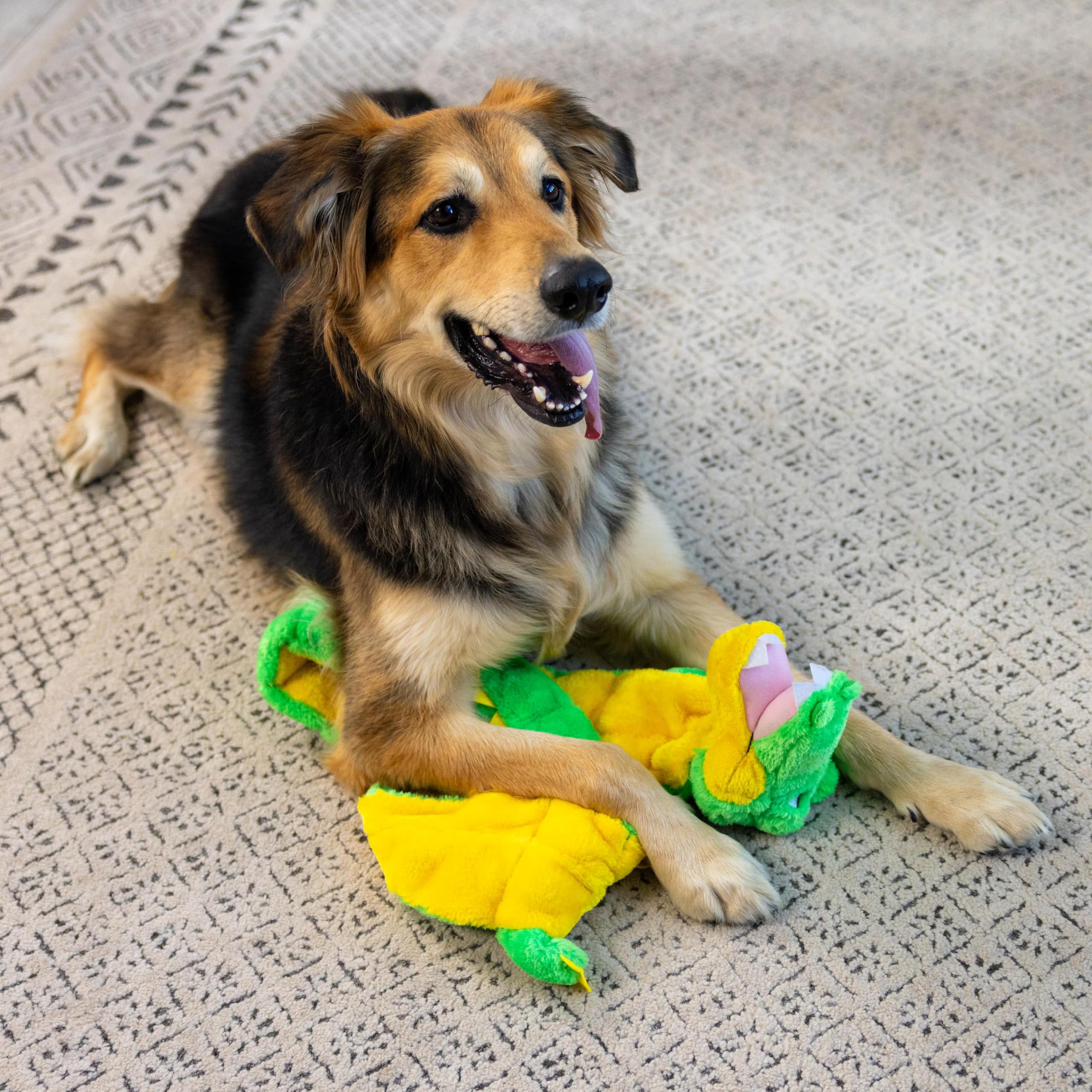 Outward Hound Kyjen 32037 Squeaker Matz Alligator mit 32 Quietschelementen Plüsch Quietschspielzeug Hundespielzeuge, Größe XL, Grün