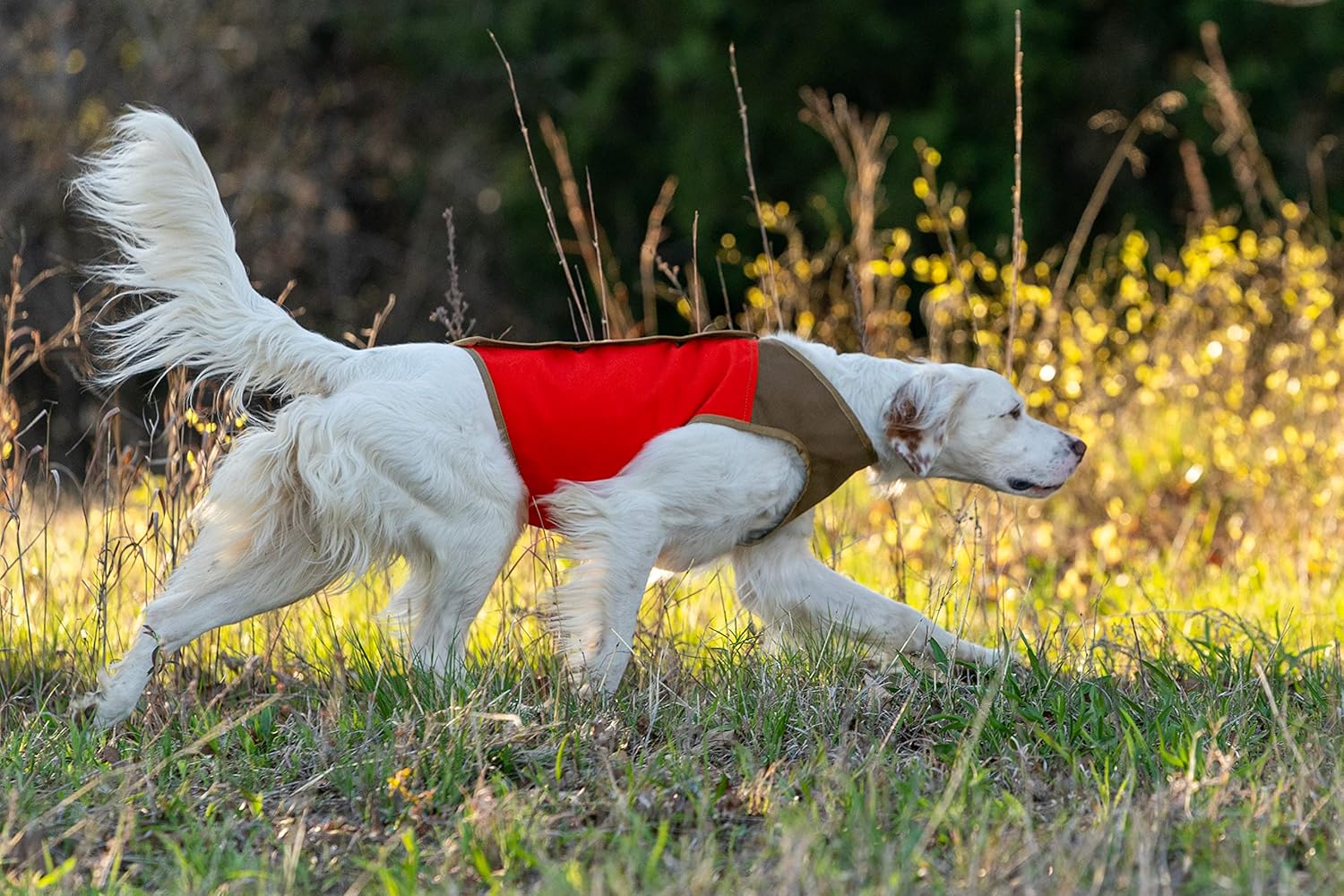 CUGA Vest Serious Protection for The Active Dog (MED-Narrow Chest, Narrow Orange/Coyote)