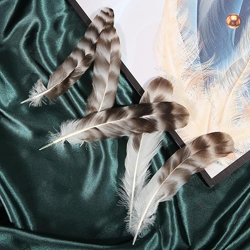 Miniatura 7 de THARAHT 24 plumas de chinchilla gris natural a granel de 6 a 8 pulgadas, 15 a 7.9in para manualidades, proyectos de colección, decoración de boda,