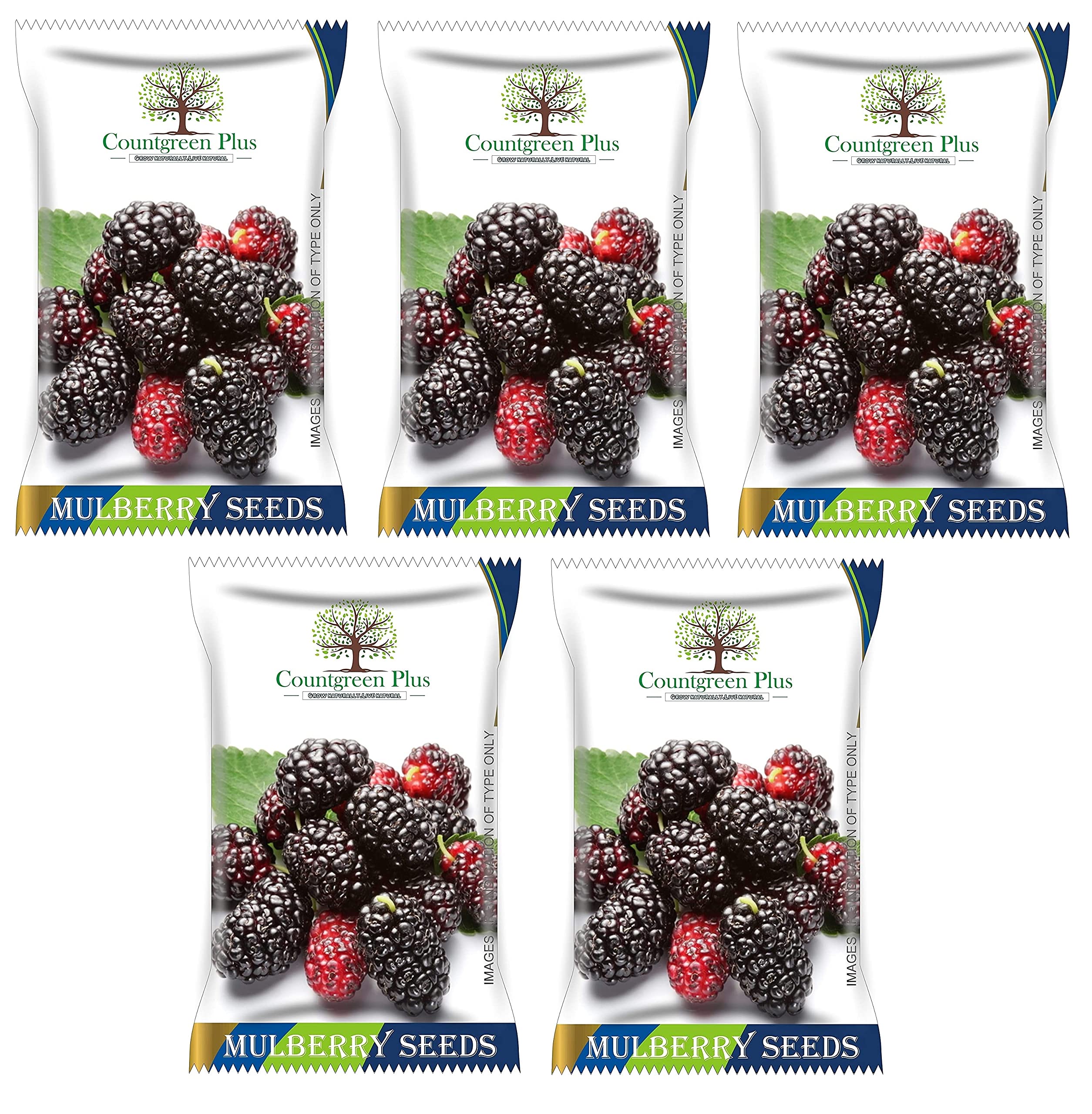 Grow Your Own Mulberry Fruit - Organic Seeds -9 Grow Your Own Mulberry Fruit - Organic Seeds -9