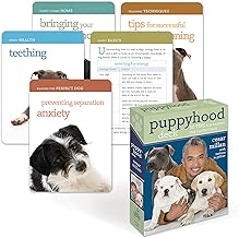 Puppyhood Deck: 50 Tips for Raising the Perfect Dog