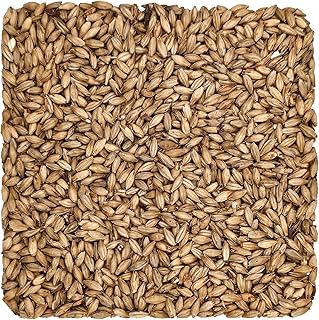 Home Brew Ohio Munich Light 8L Grain 1lb