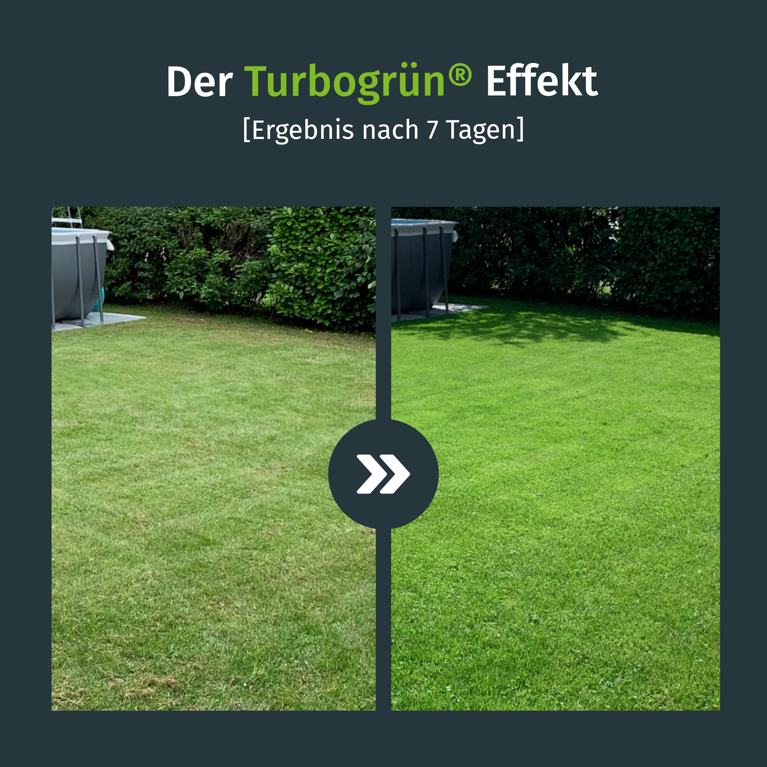 turbogrün® Rasendünger und Rasenkalk Bundle für 125 m² Rasenfläche