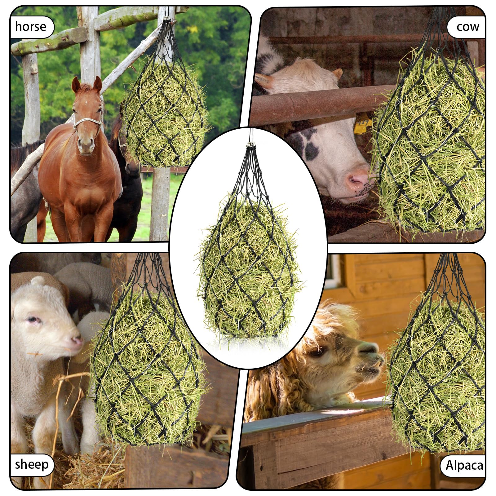 Red de Heno para Caballos, Dwafill Red para Heno - Malla 12,5 x 12,5 cm, Apto para Caballos Grandes, Apto para Pastos, Heno, Red de Heno para Caballos Prime, Ahorra En Costes de Alimentación (Negro)