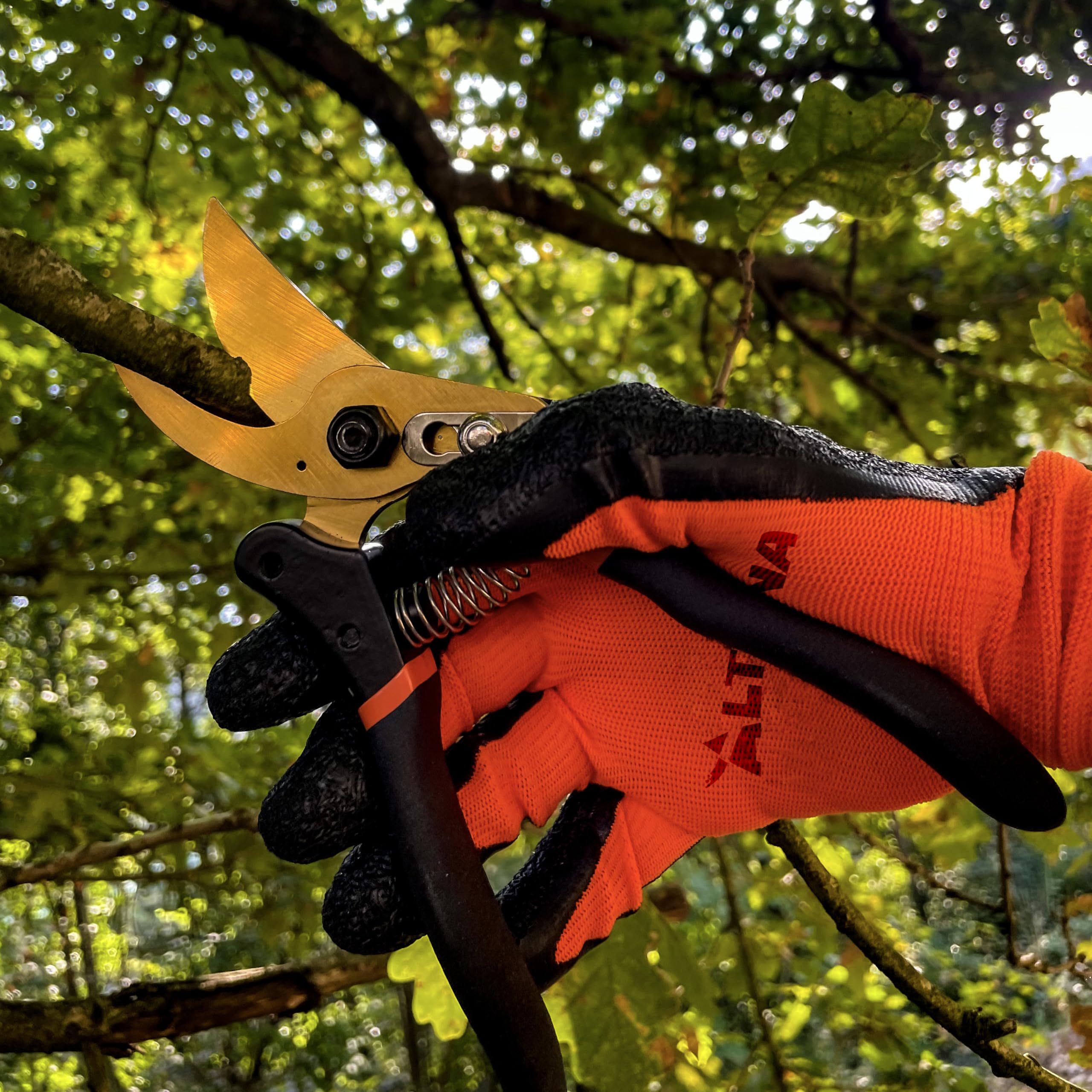 Altuna TR15 - Tijeras de Podar de Titanio - Tijera de Jardín Profesional con Hoja SK5 - Corte Bypass Preciso - Mango Metálico Antideslizante - Diseño Ergonómico - Ideal para Regalo - Caja Incluida