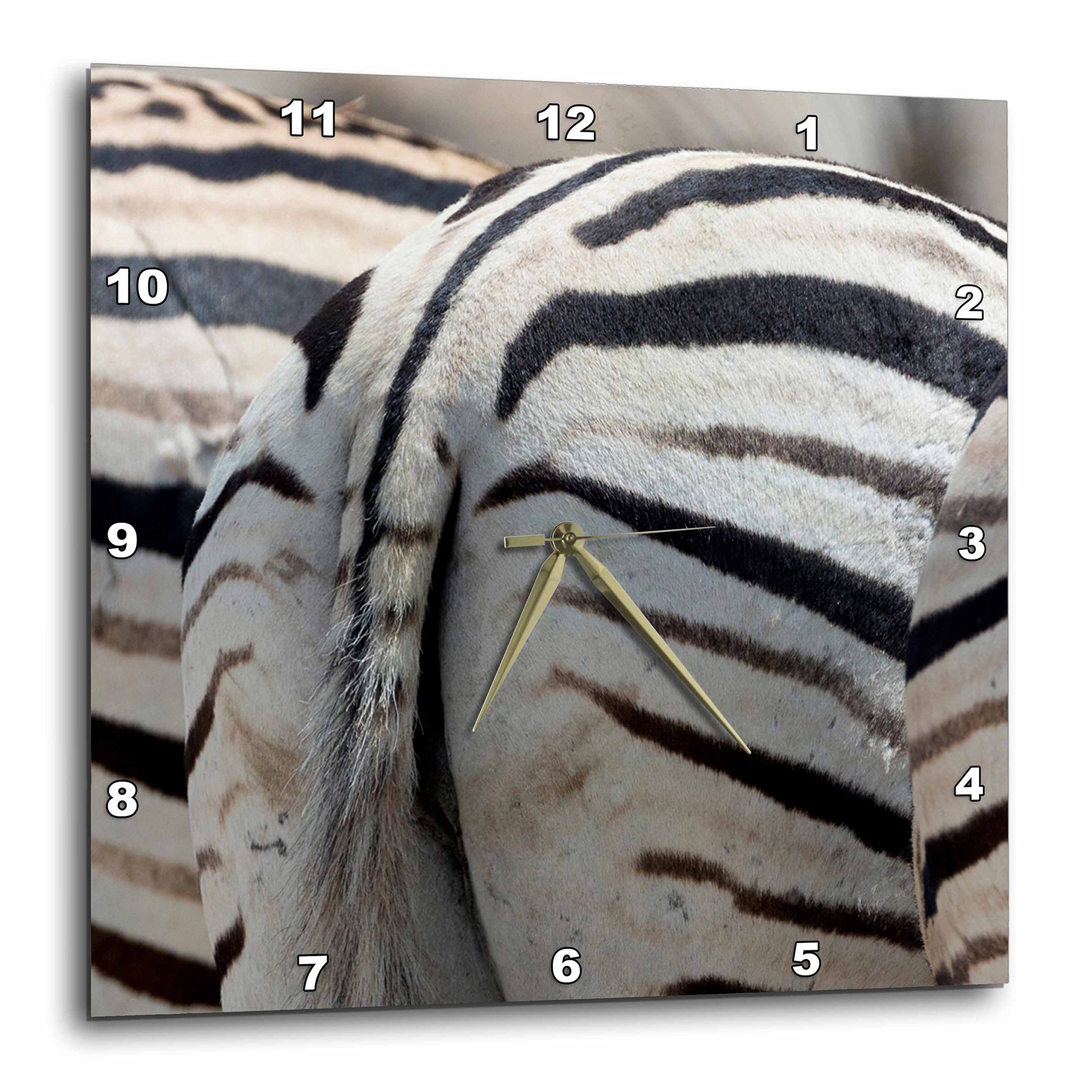 3dRoseNamibia, Etosha NP, Reitfontain Waterhole. Zebra Tails and behinds. -Wall Clock, 10-inch (DPP_207680_1)
