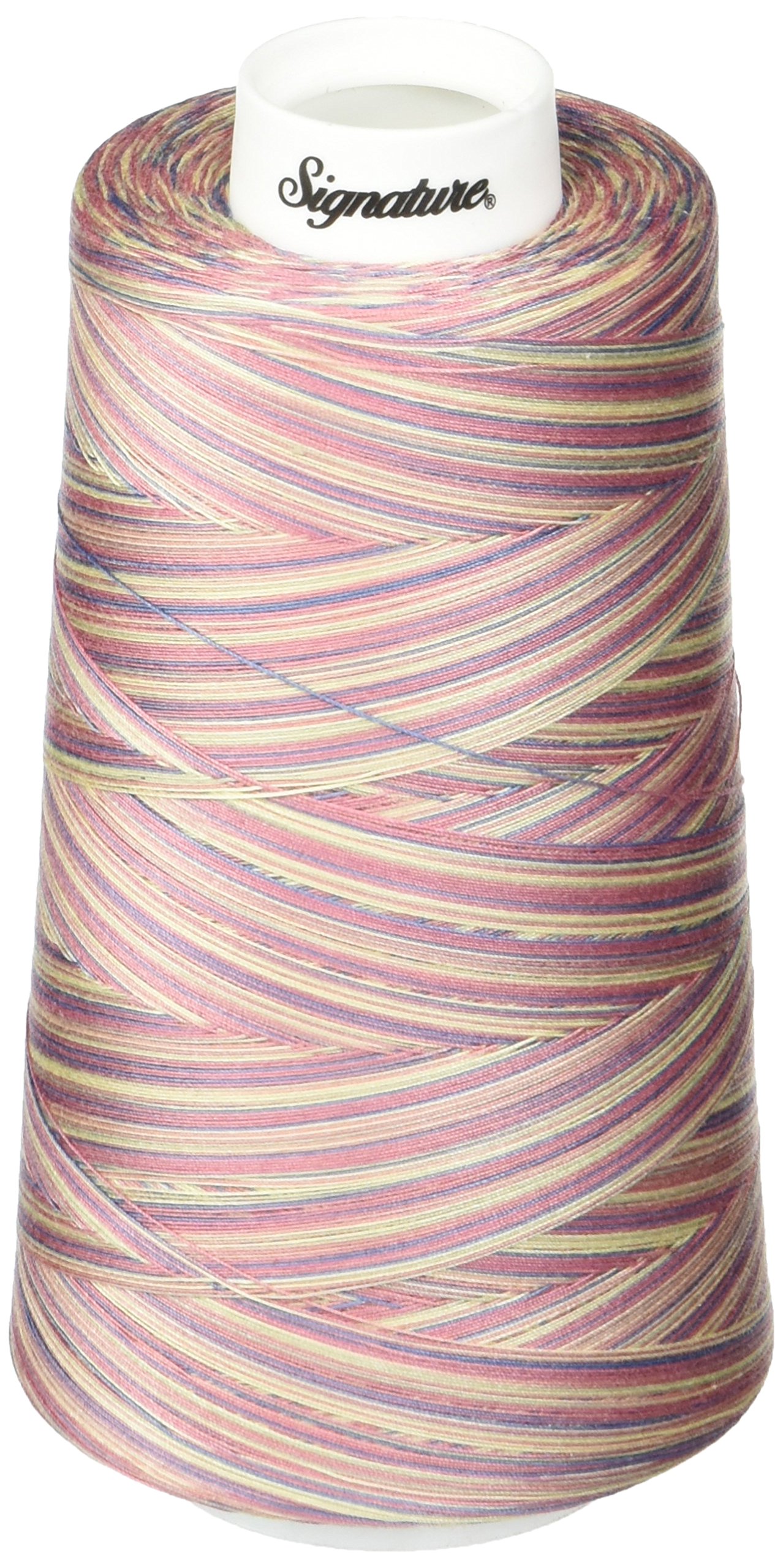 SignatureThread, 40wt/3000 yd, Variegated Victorian