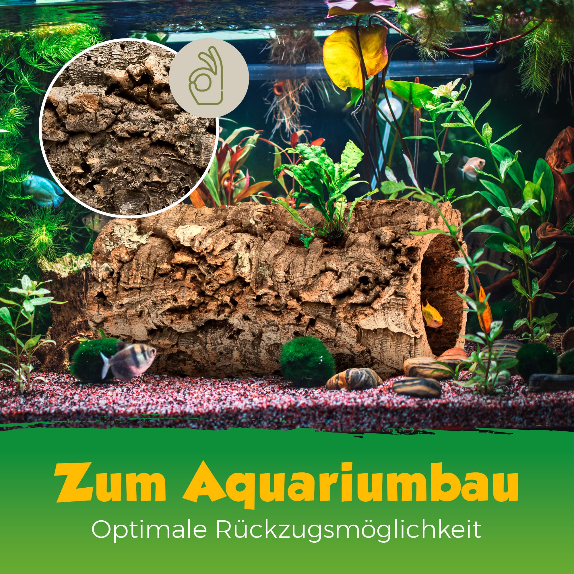 Kork-Deko Corteccia di Sughero: Tubi Sughero, 30 cm, Altezza Interna 11-14 cm Circa