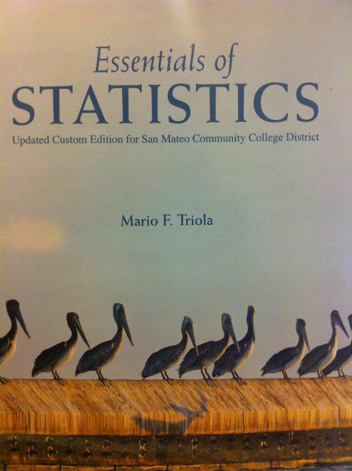 Essentials of Statistics (Updated Custom Edition for San Mateo