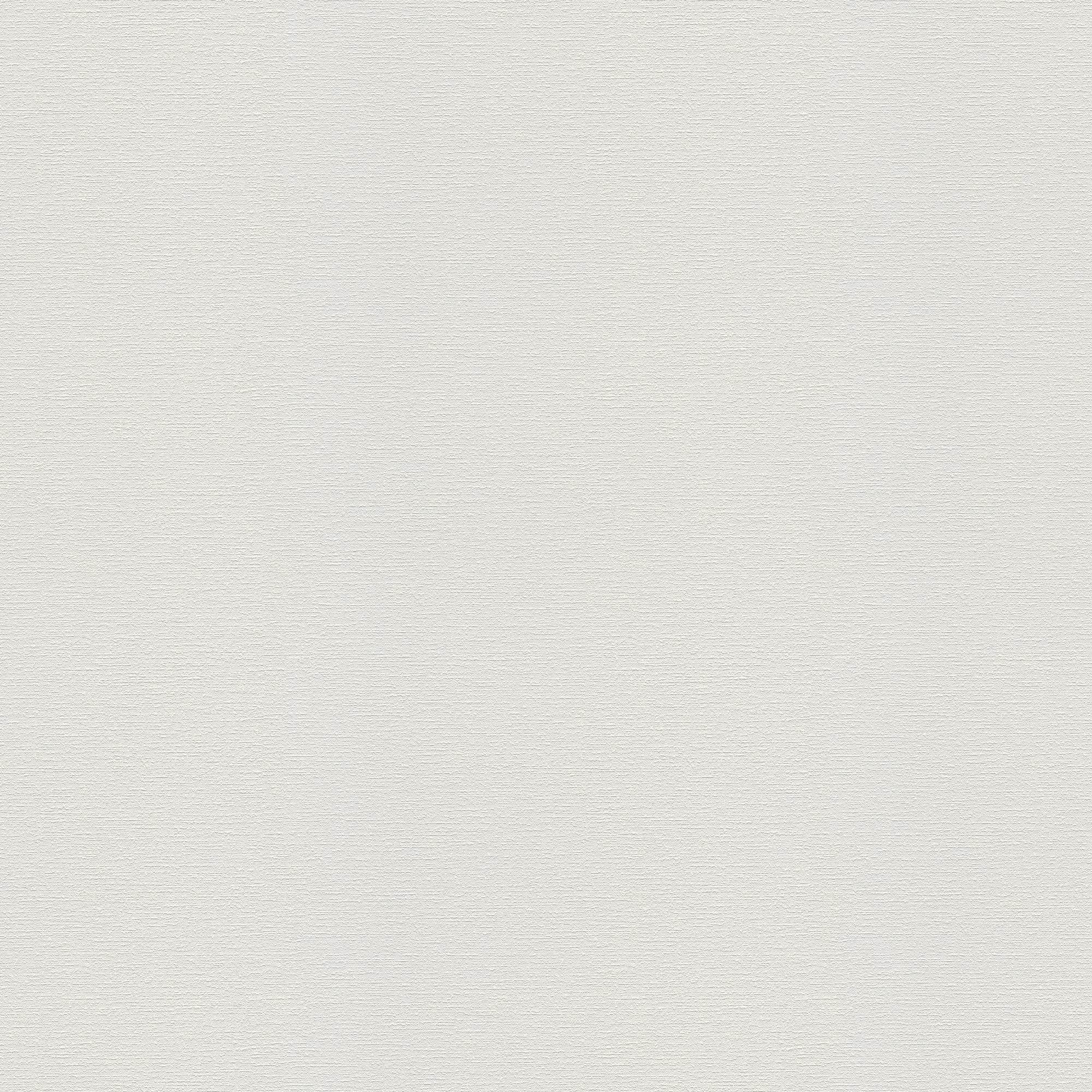 A.S. Création Malowana tapeta flizelinowa Meistervlies tapeta 25,00 m x 1,06 m biała Made in Germany 574916 5749-16