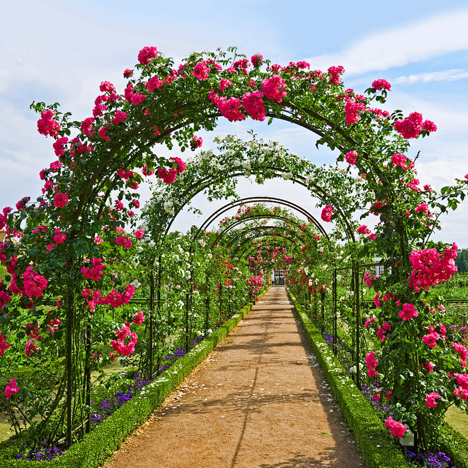 Forever Speed Arche de Jardin/Mariage en Métal - Arceau à Rosiers, Tuteur, Colonne pour Plantes Grimpantes - 240 x 140 x 38 CM - Noir
