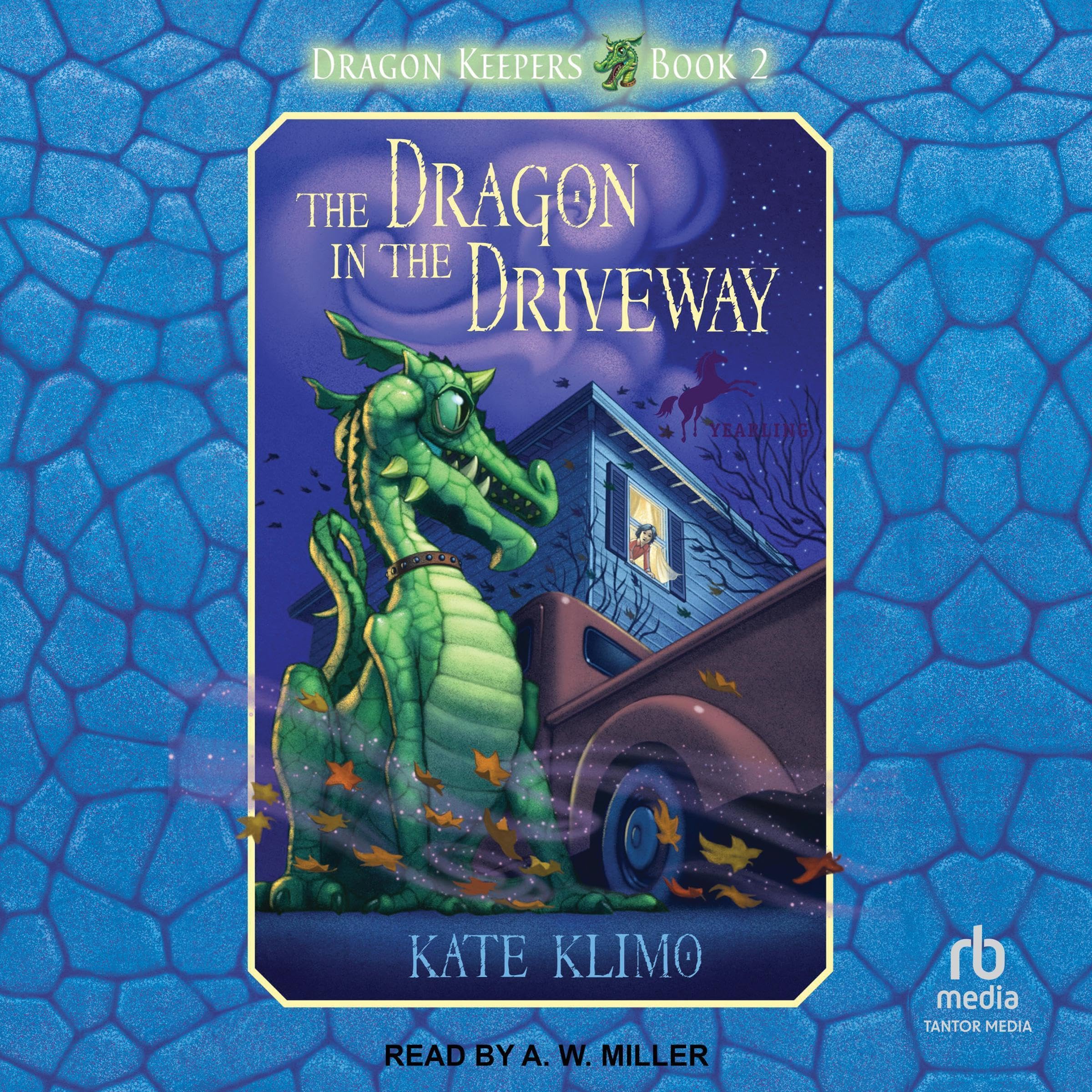 Cover art for The Dragon in the Driveway