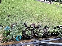 Review Image by Jess L Jess L