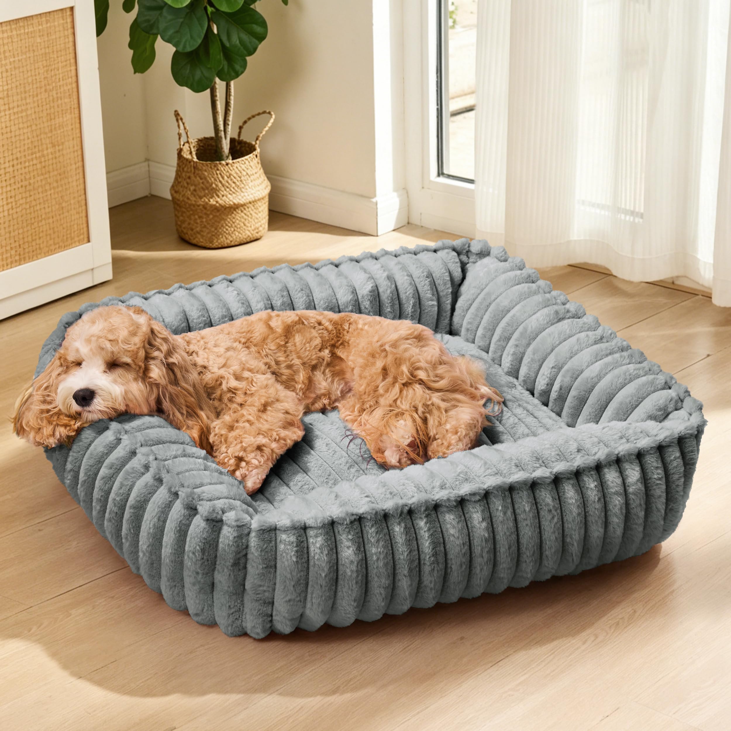 Jolibean Calming Dog Bed for Small Dogs 50x40cm, Rectangle Orthopedic Soft Cat Bed for Indoor Cats, Washable Anti-Anxiety Cozy Pet Sofa Beds with Anti-Slip Bottom, Sage Grey