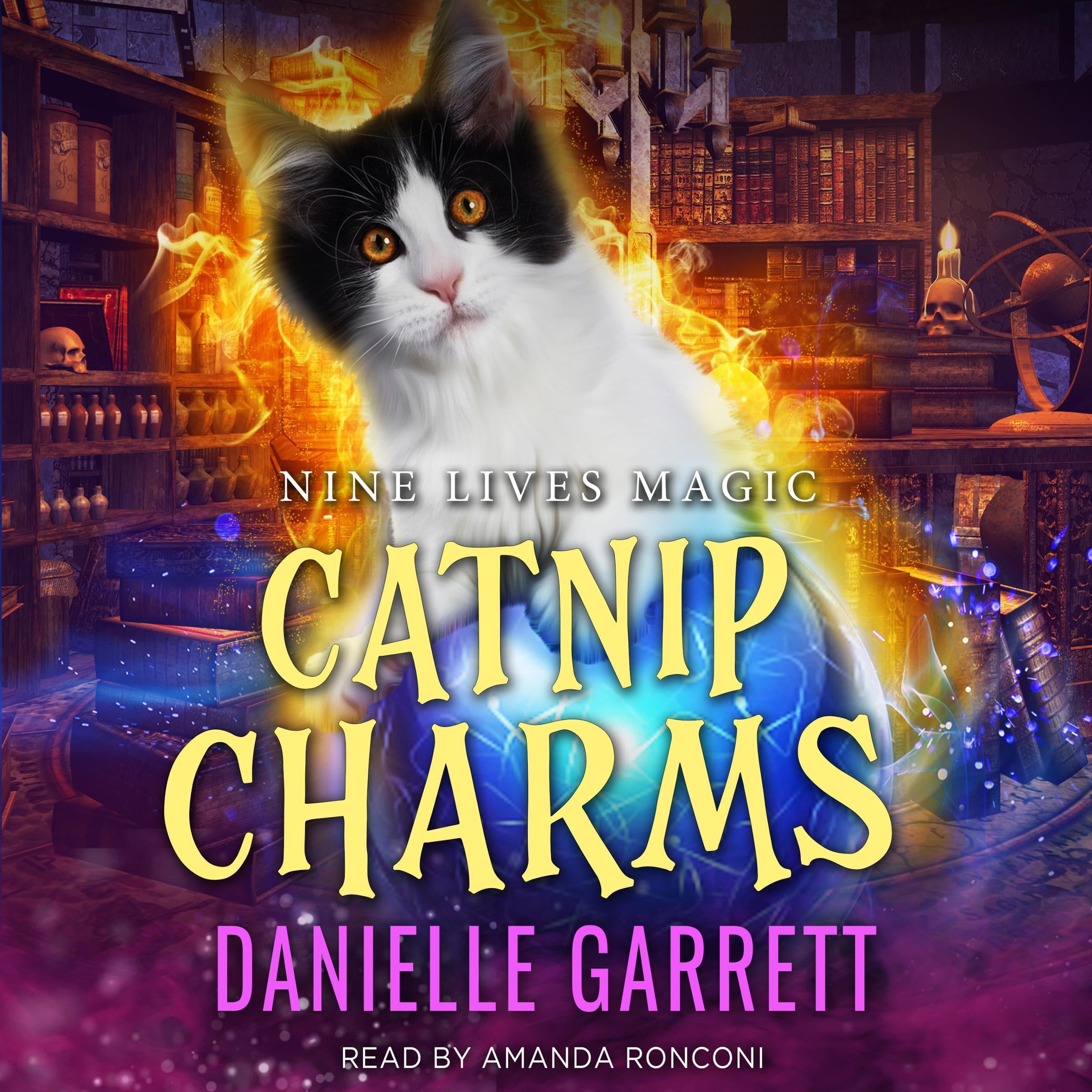 Cover art for Catnip Charms