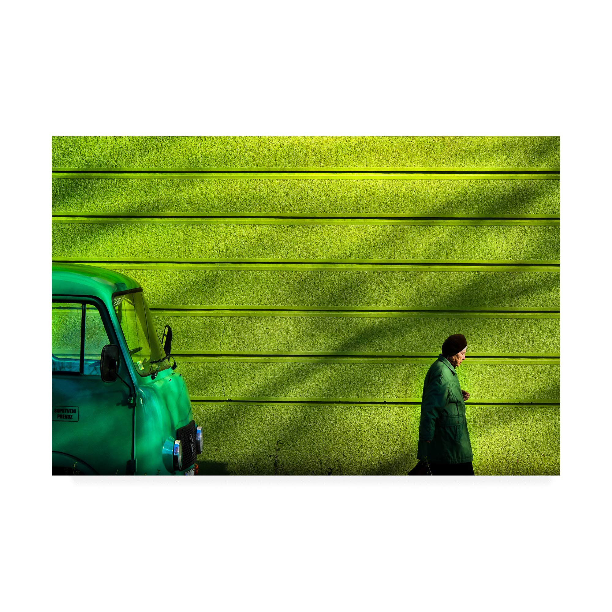 Trademark Fine Art, 16x24 Old Green by Zlatko Vickovic