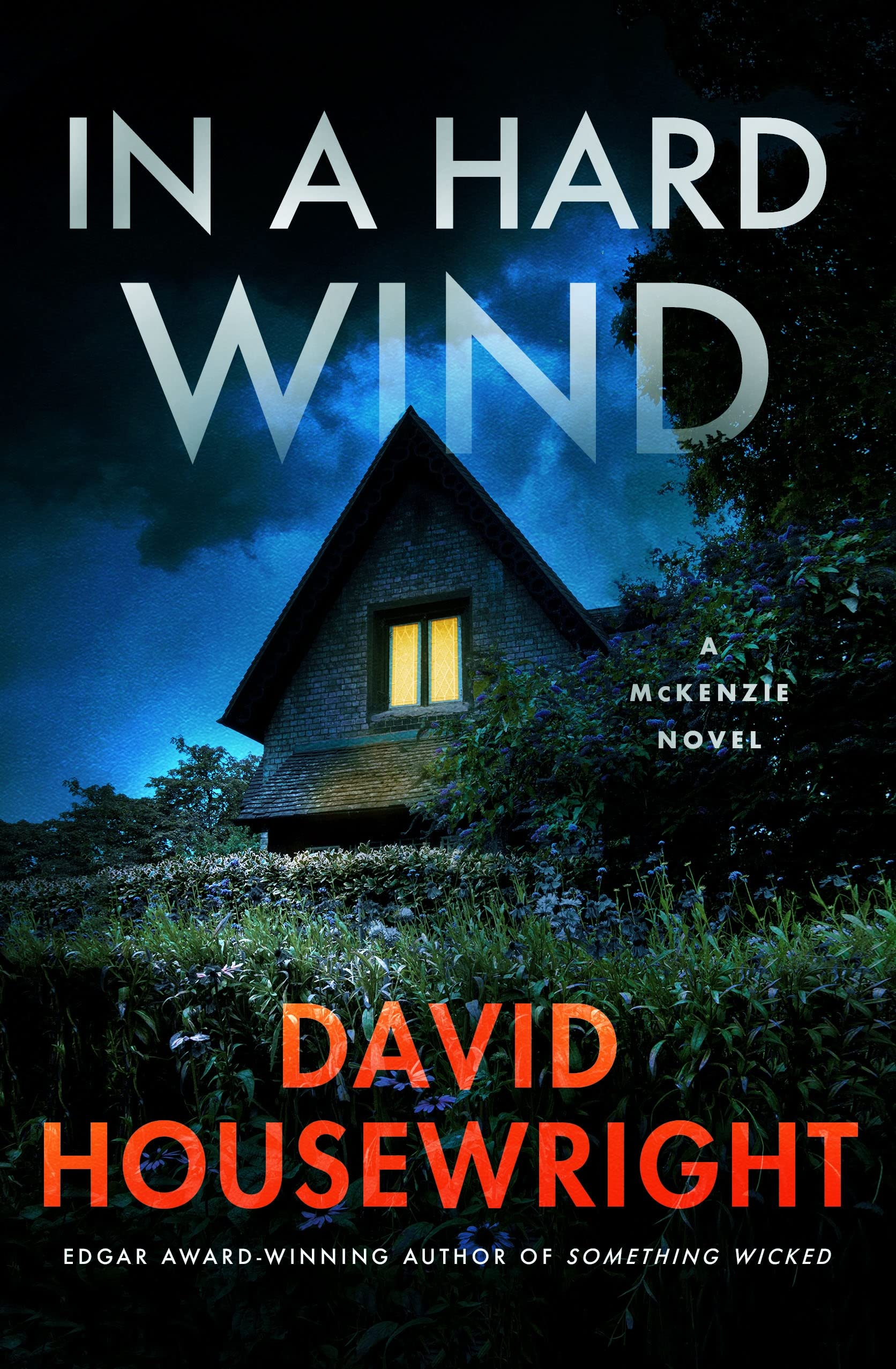 In a Hard Wind: A McKenzie Novel (Twin Cities P.I. Mac McKenzie Novels Book 20)