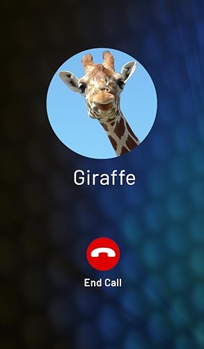 Zoo Animals Prank Call (Lion, Monkey, Tiger, Elephant, Giraffe and more!)