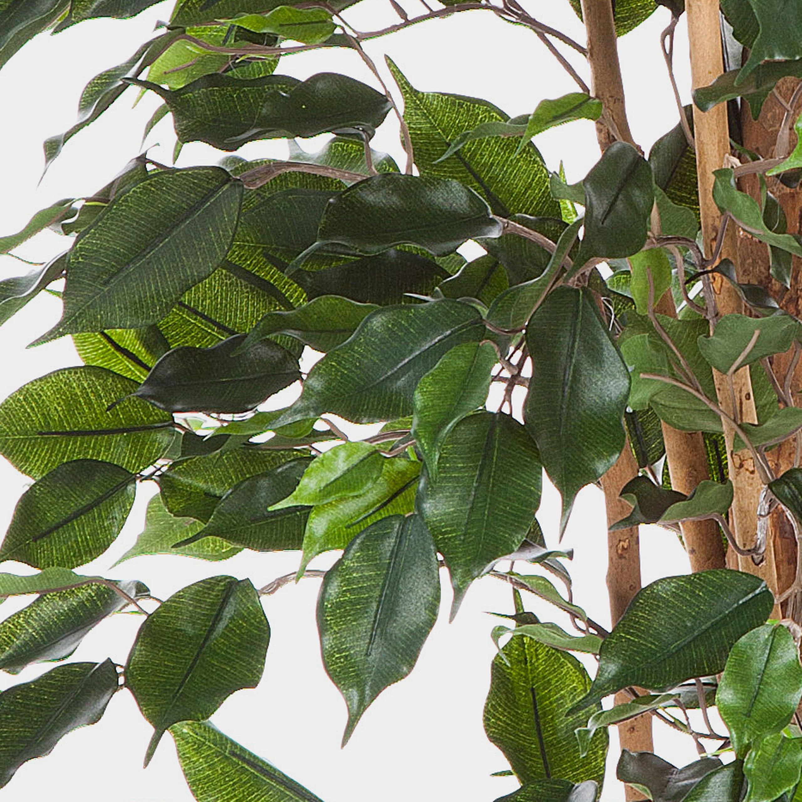 artplants.de Ficus Exotica Artificiale, in Vaso, 880 Foglie, Verde, 150cm - Pianta Tropicale/Ficus Decorativo