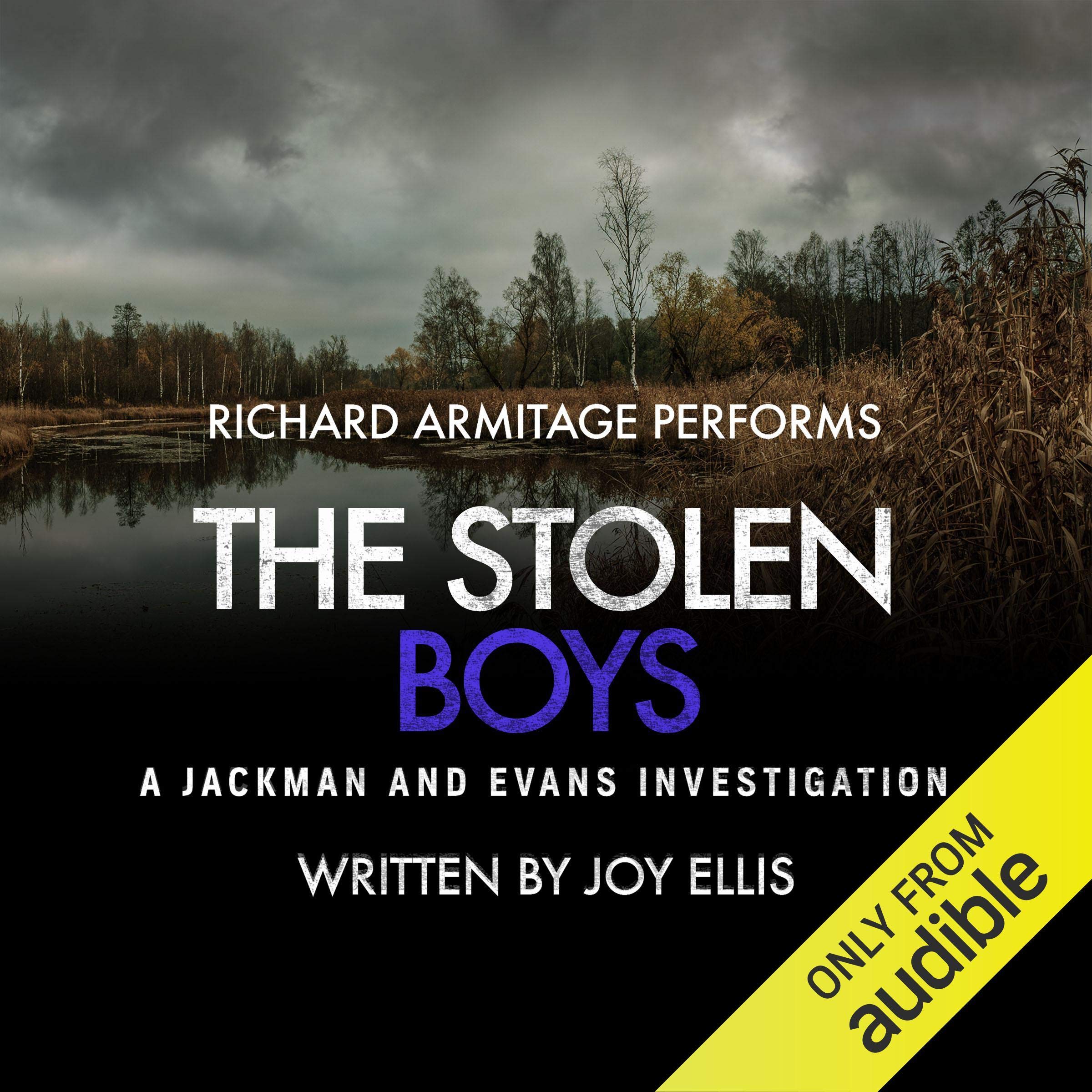 Cover art for The Stolen Boys