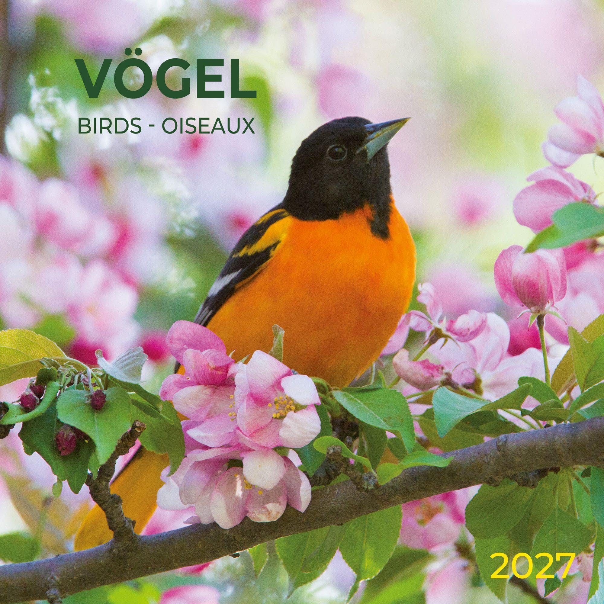 Vögel / Birds 2027: Kalender 2027