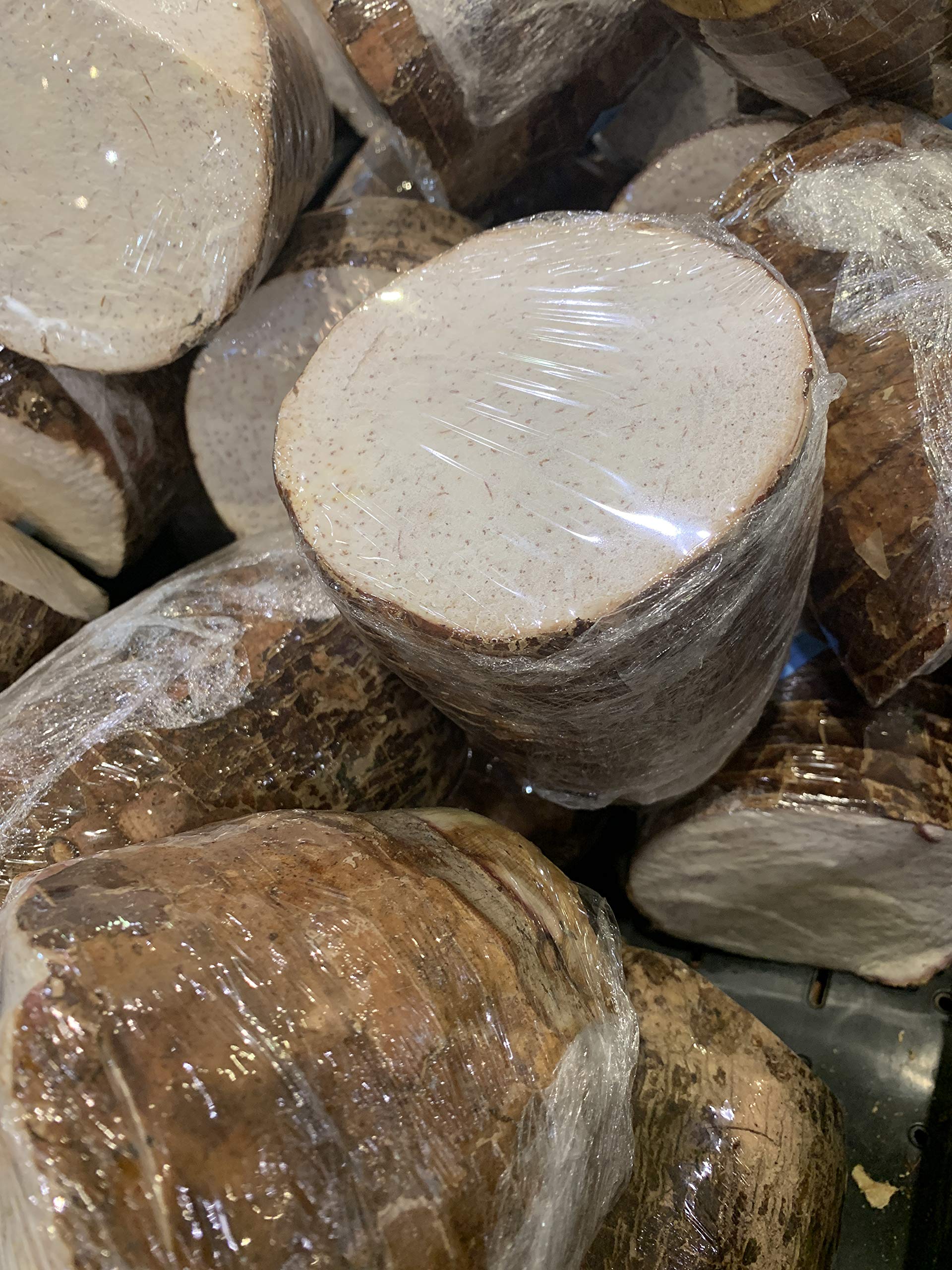 Fresh Malanga Coco/Big Taro Roots - 8 LBS