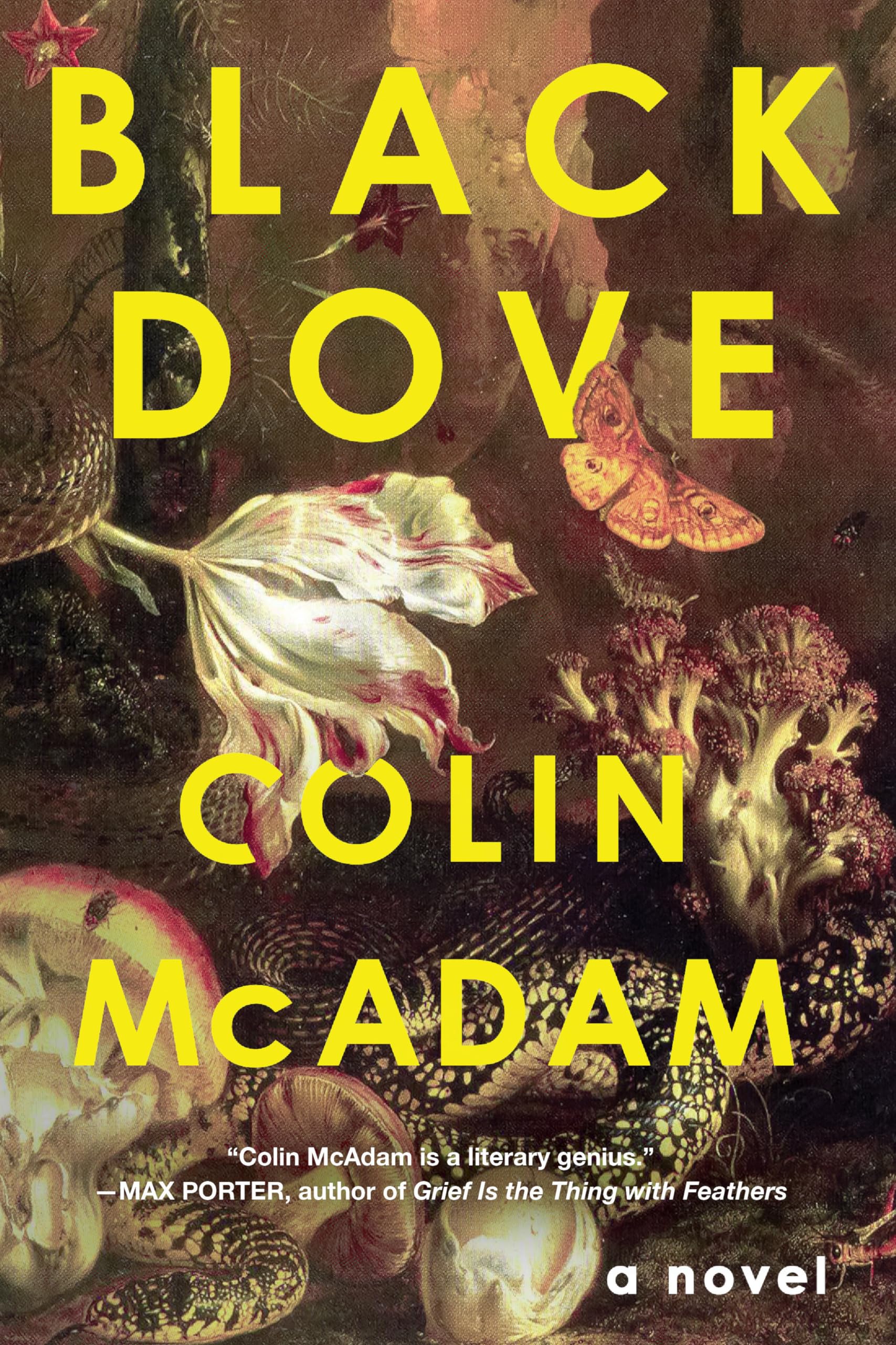 Buy Black Dove — BookShops.in