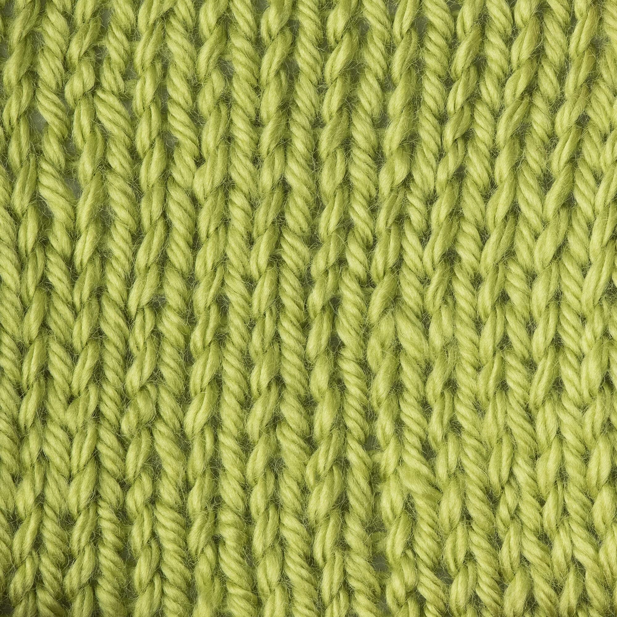 Caron Simply Soft 170g - Chartreuse, 170.1g - Image 3