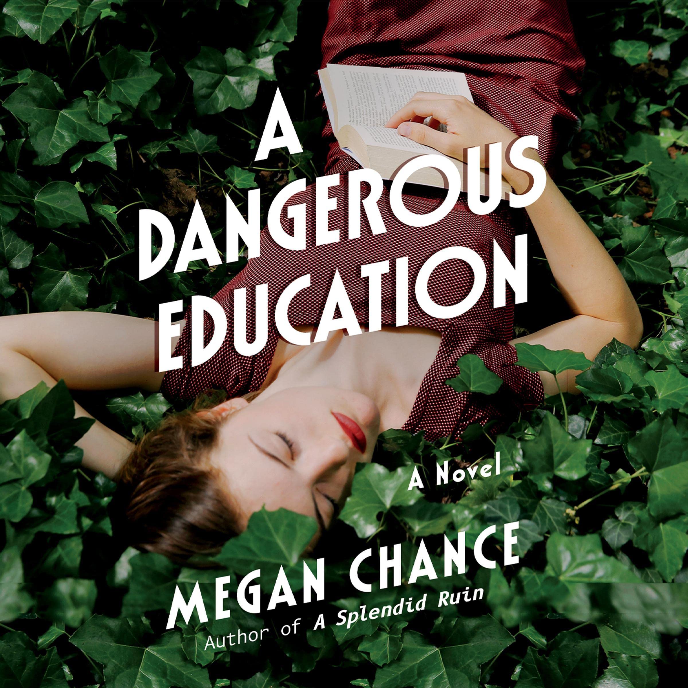 Cover art for A Dangerous Education