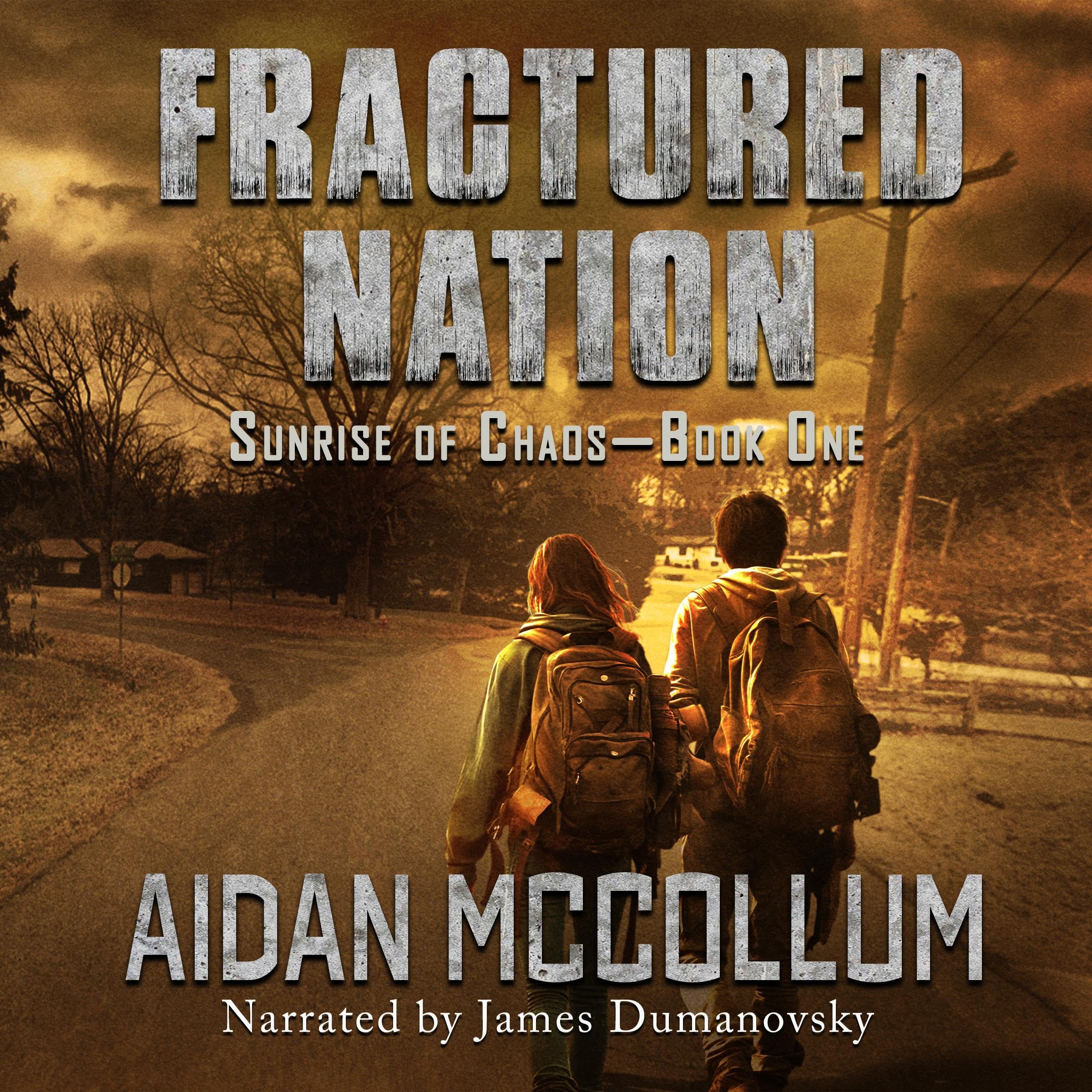 Cover art for Fractured Nation