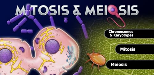 FCS - Mitosis & Meiosis