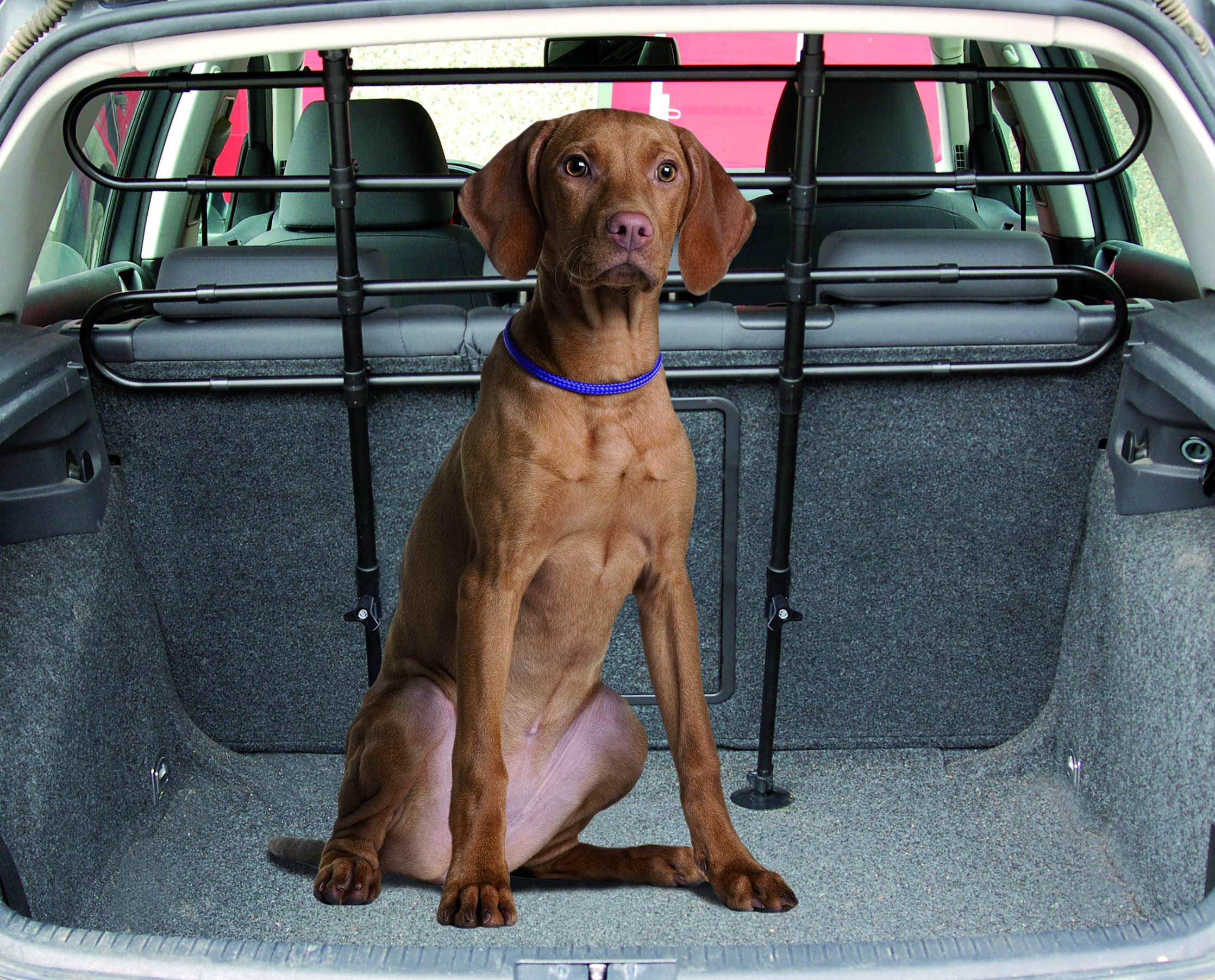 Freedog FD1200071 - Rejilla Coche Maletero, 3 separadores, para Perro, Color Negro