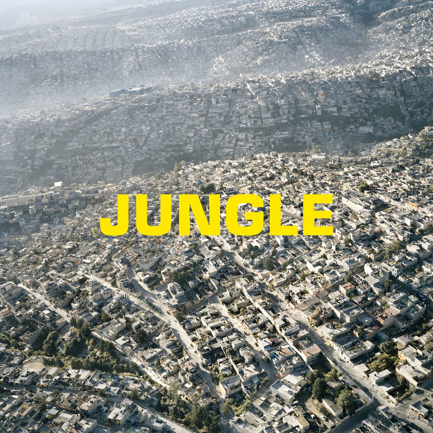 JUNGLE [VINYL]