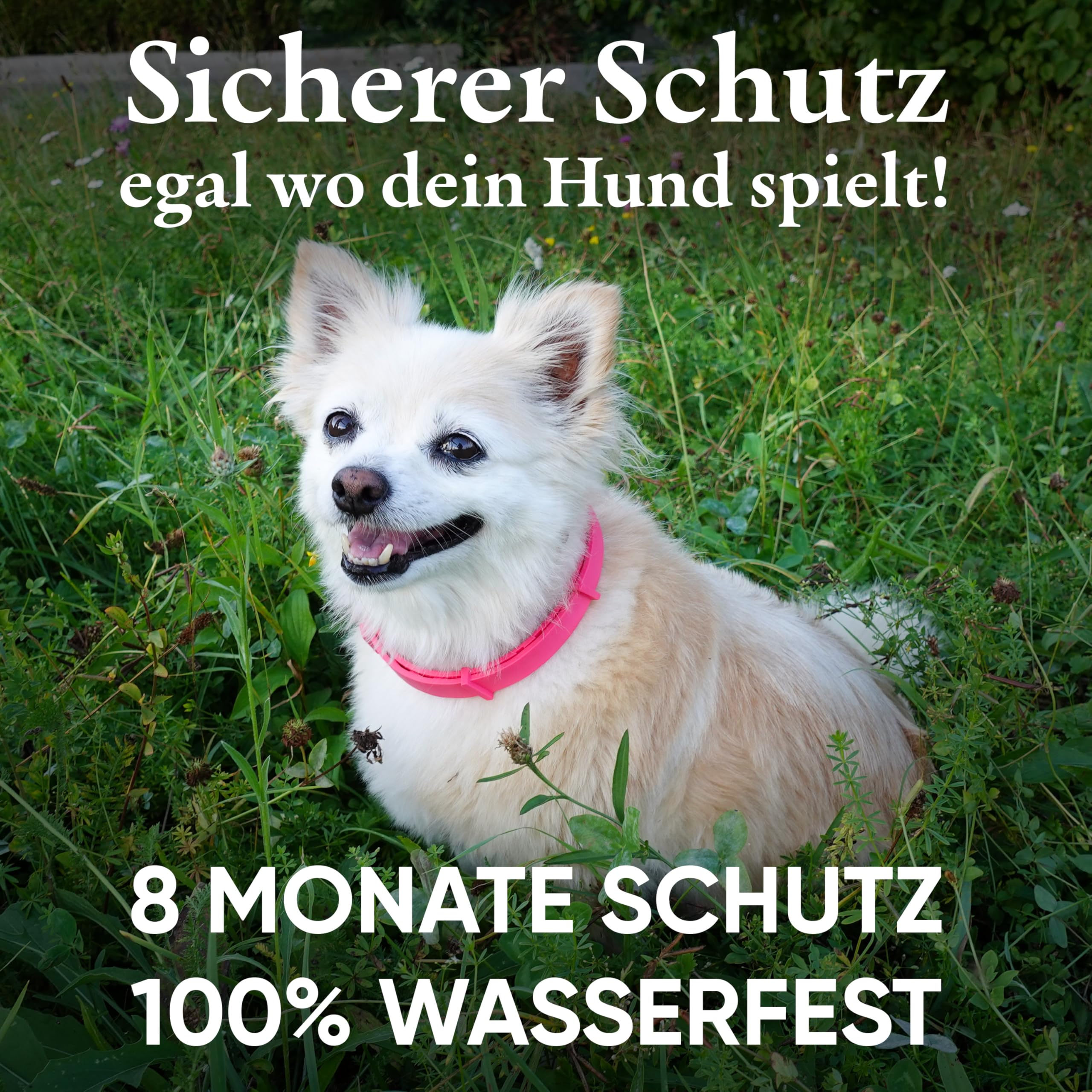 Monked | Natürliches Halsband für Hunde ohne Chemie | Verstellbar für kleine & große Tiere | Bis zu 8 Monate Schutz | Anti-Zecken & Flohschutz | Langanhaltender Zeckenschutz Hund [Blau]