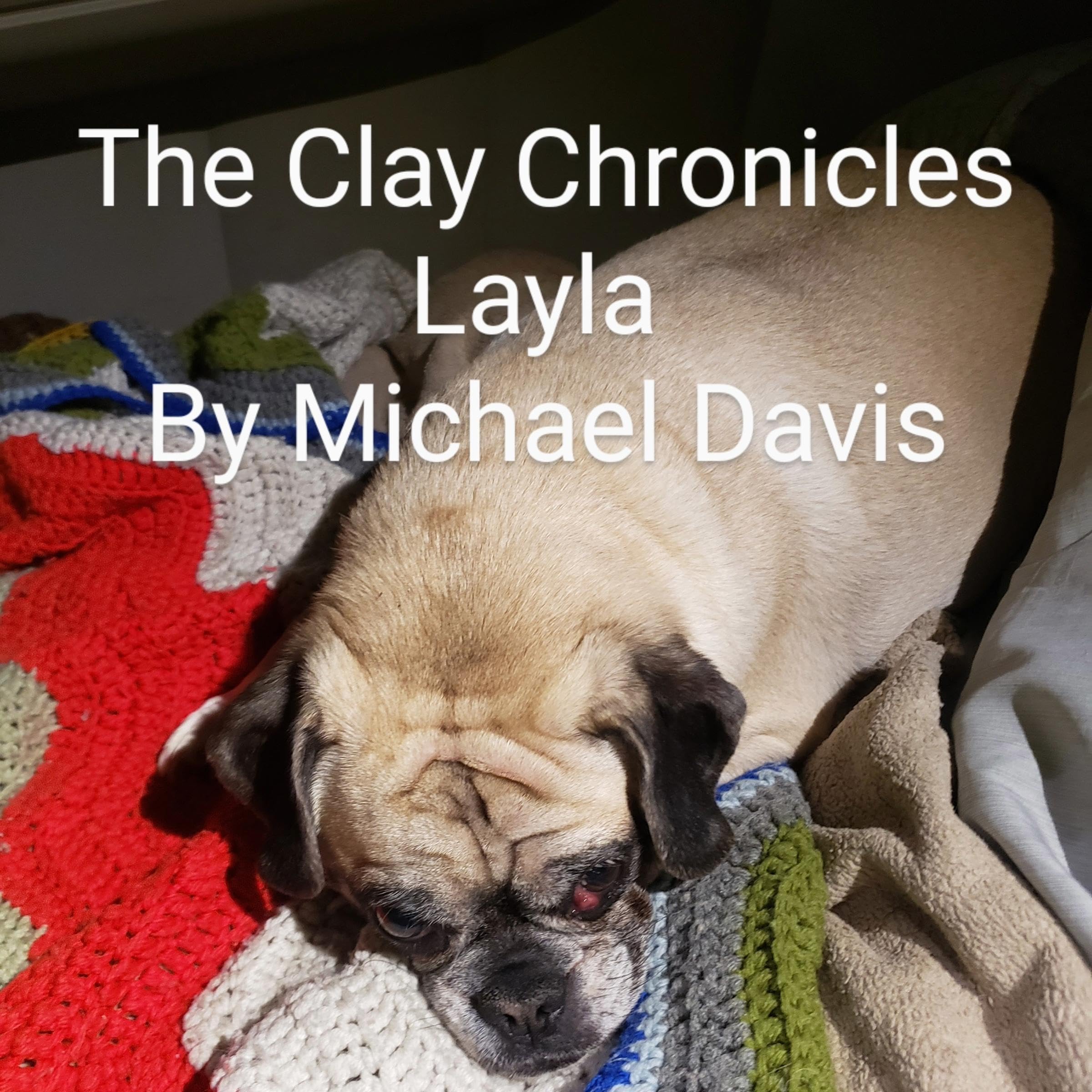 Cover art for Layla