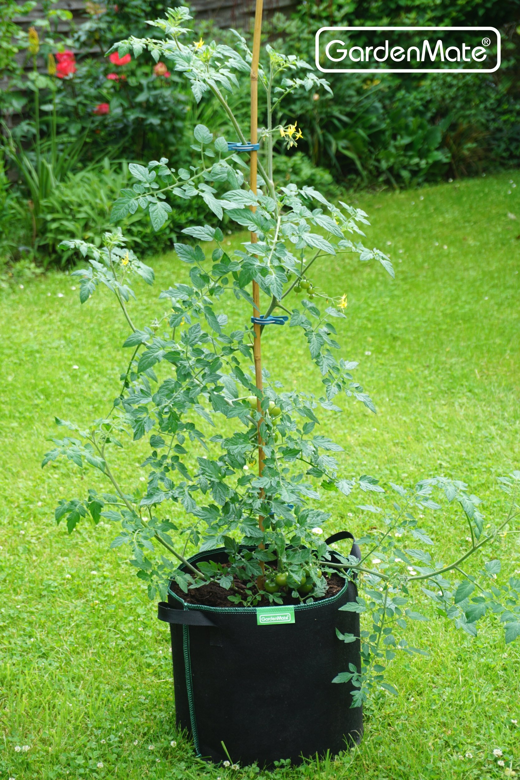 GardenMate 10x 30L Bolsas de Tela no Tejida para Plantas - Altura 30,5 cm Ø 35,6 cm - GREENLINE - 5
