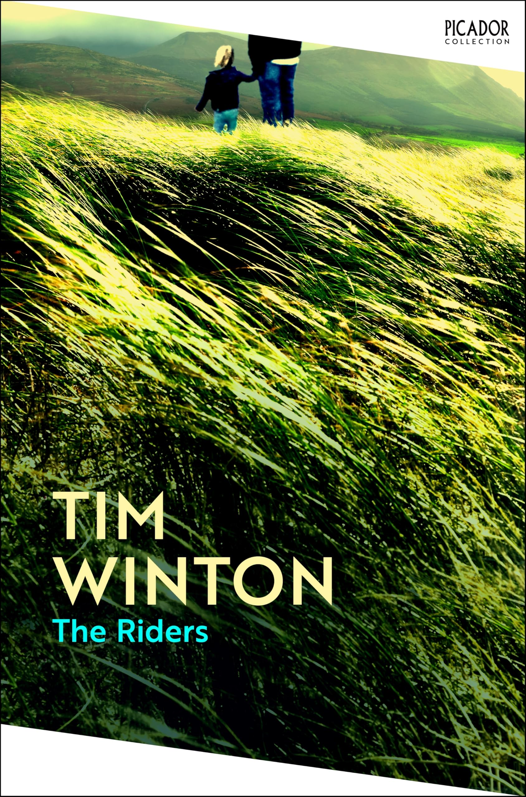 The Riders: the Booker Prize-shortlisted novel of one man's search across Europe for the woman he loves (Picador Collection)