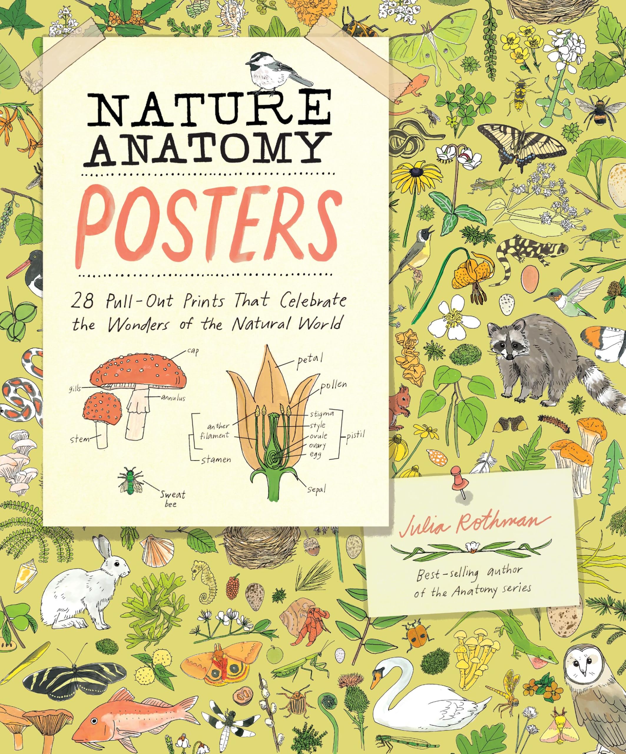 Nature Anatomy Posters: 28 Pull-Out Prints That Celebrate the Wonders of the Natural World