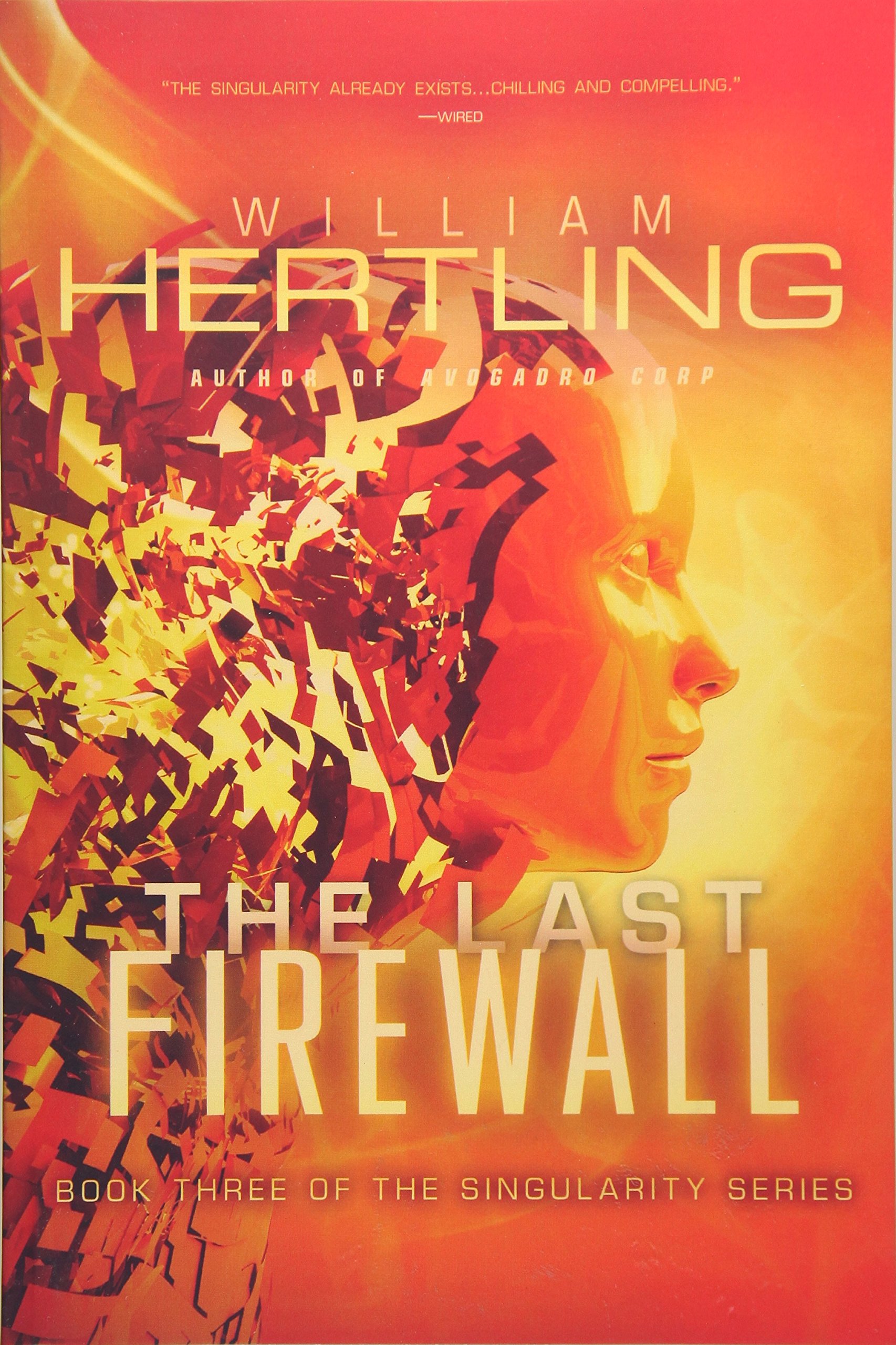 The Last Firewall: 3 (Singularity Series)