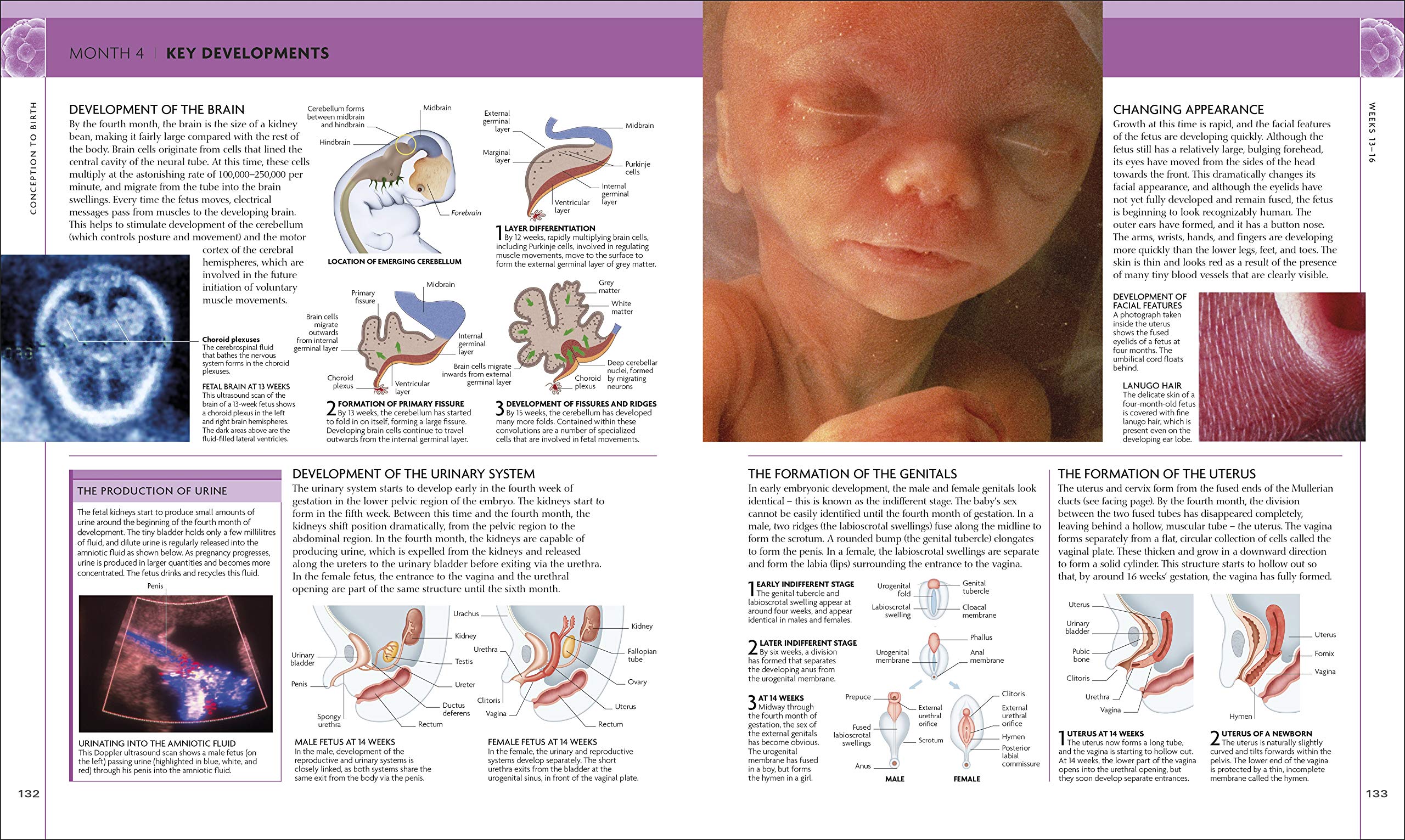 The Science of Pregnancy: The Complete Illustrated Guide from Conception to Birth